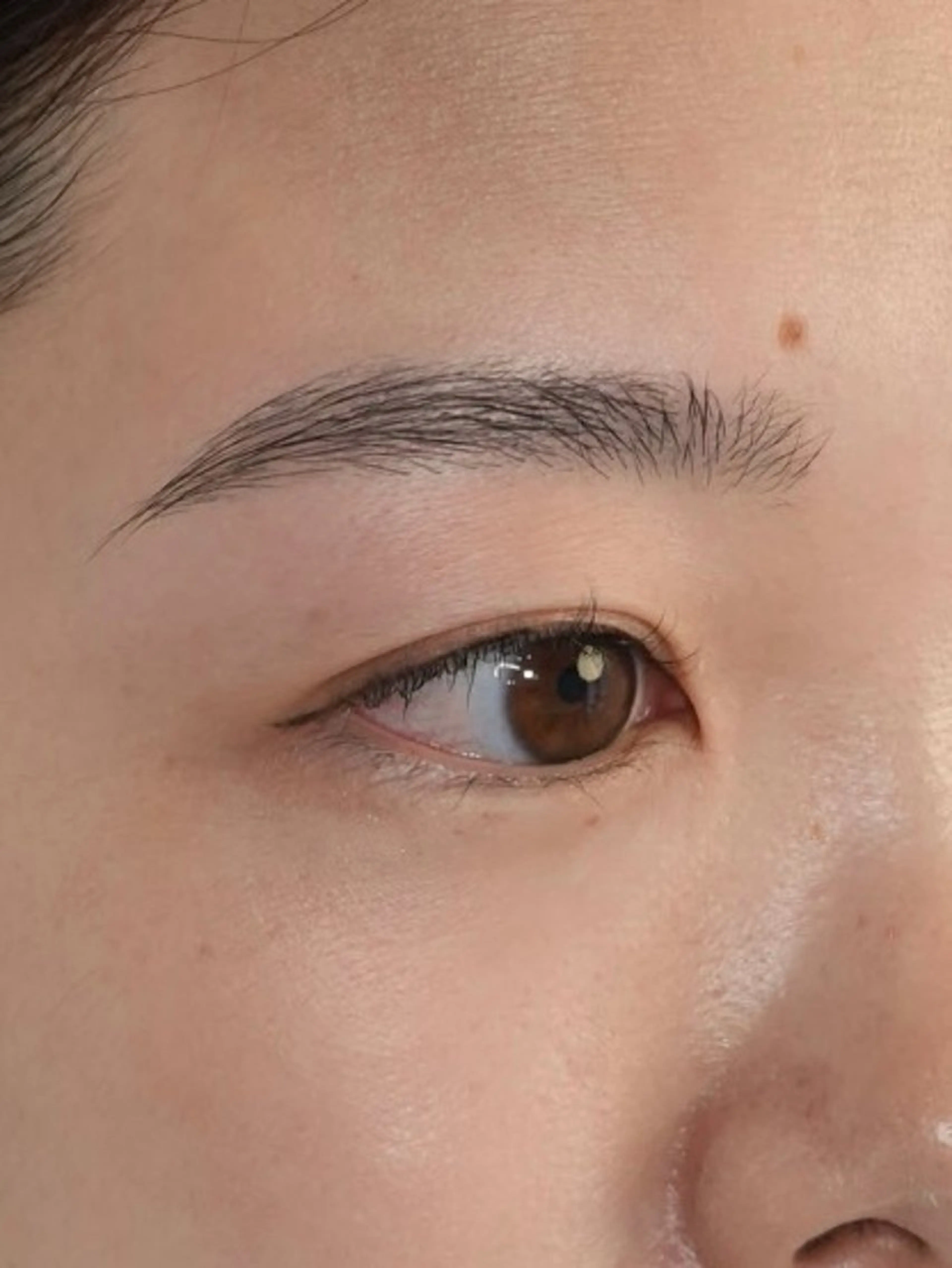 アイブロウ 骨格美眉ブロウリスト SHOKOの眉毛・アイブロウイメージ