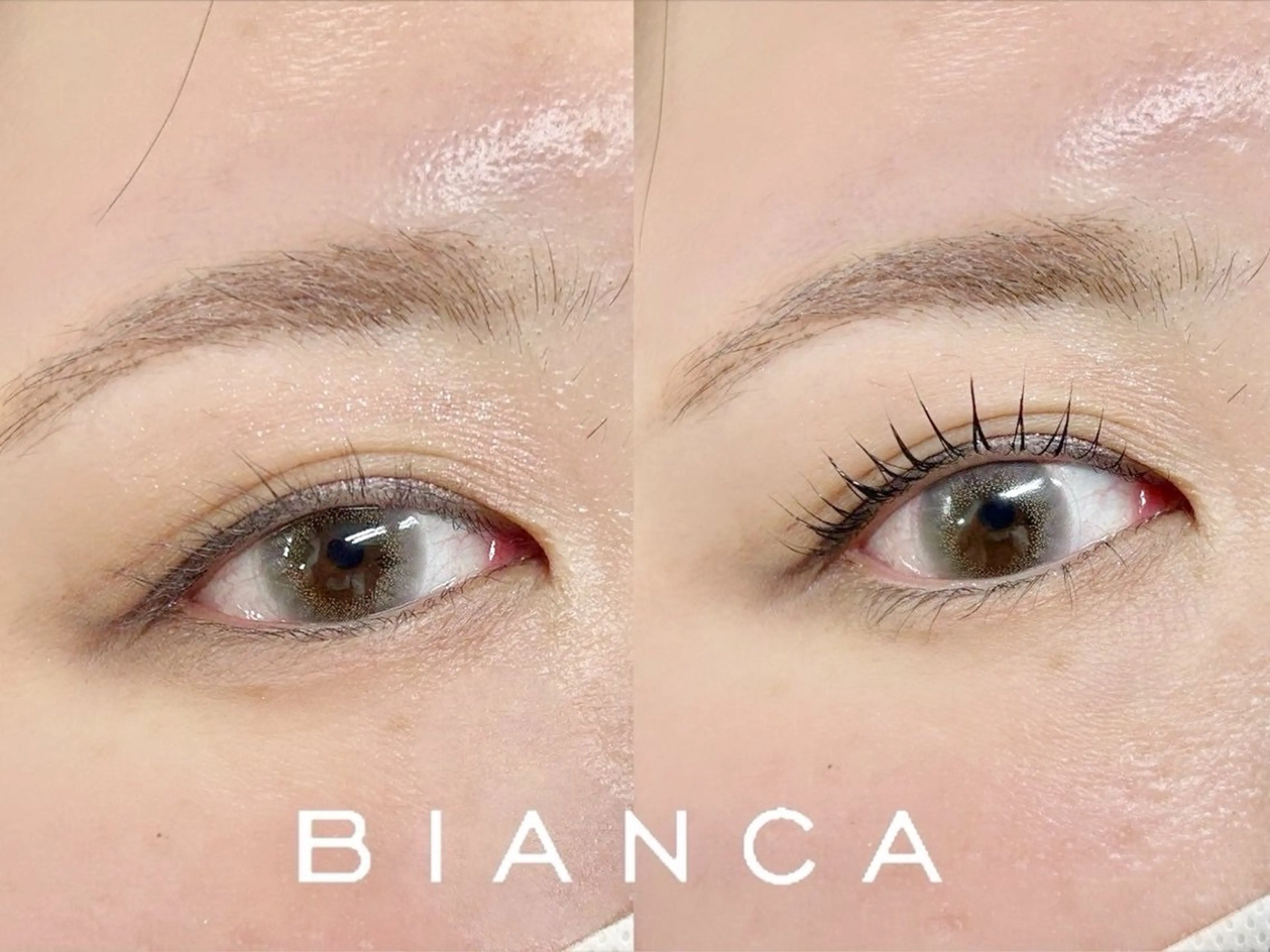 韓国発★【マスカラパーマ】パリジェンヌ×ブラックティント🖤トリートメント仕上げ✨¥6930【立川】の写真