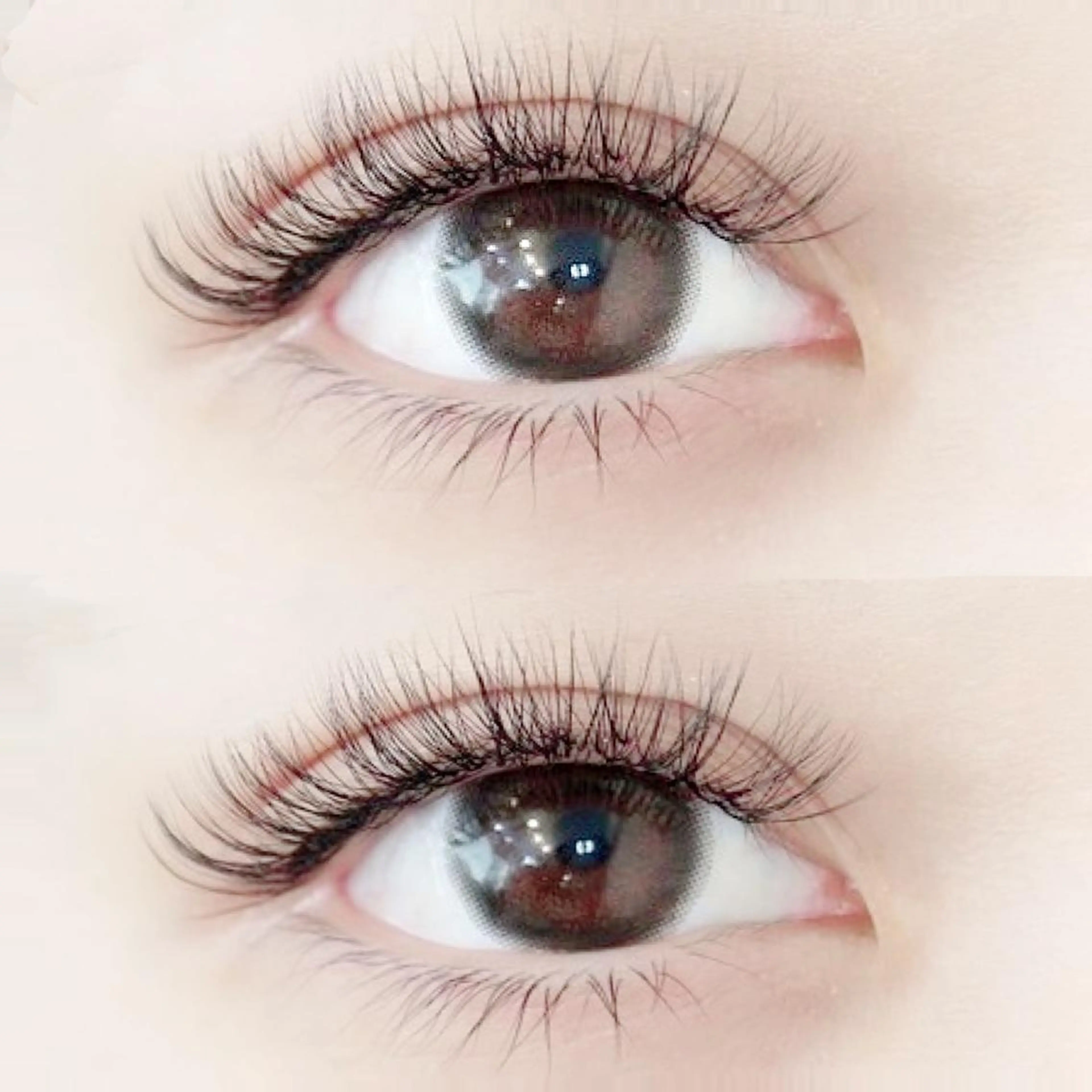 マツエク・マツパ ボリュームラッシュ FASTLASH🌹 パリジェンヌのマツエク・マツパデザイン