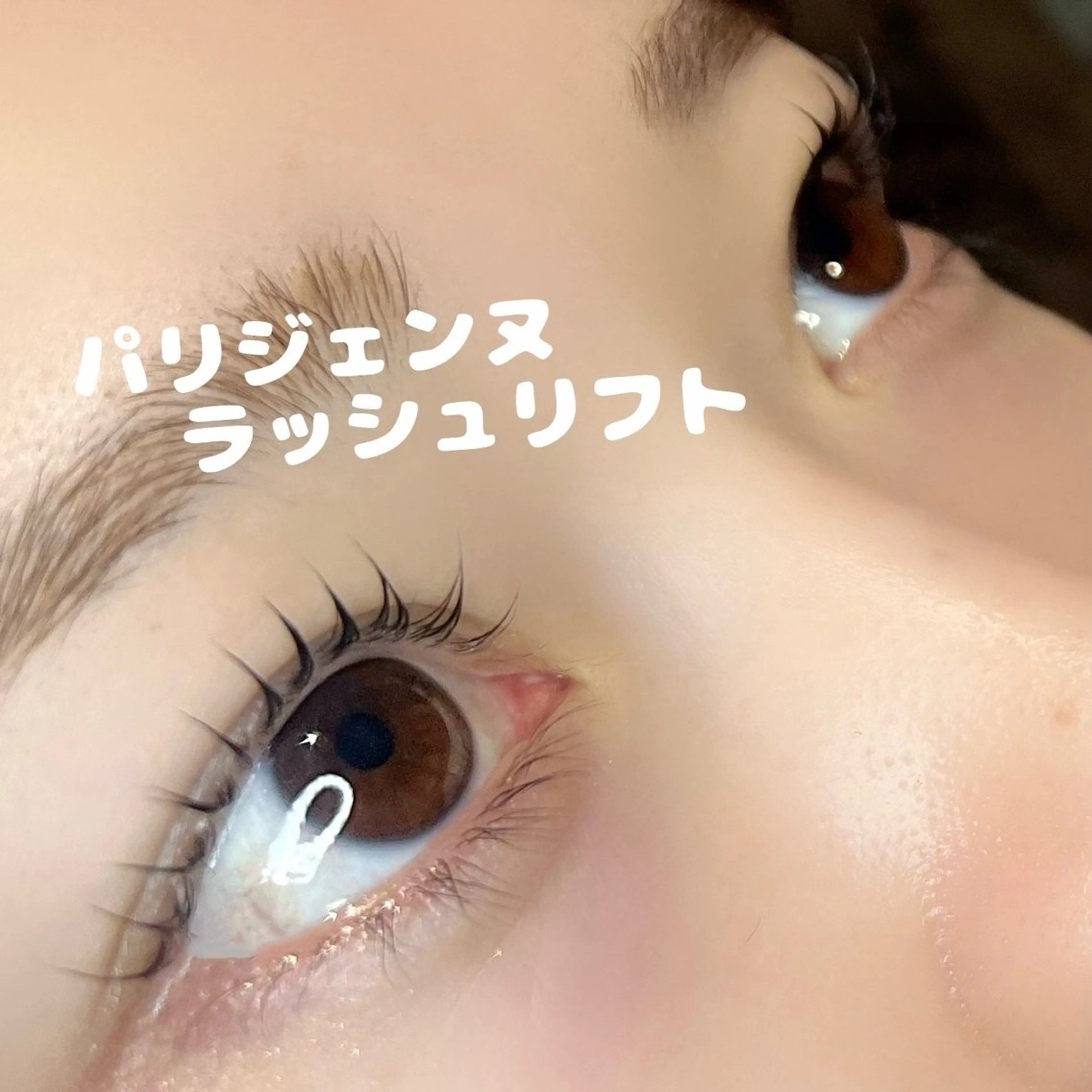 🫧パリジェンヌ&ラッシュリフト🫧コーティング仕上げ🫧指名料＋770円込の写真