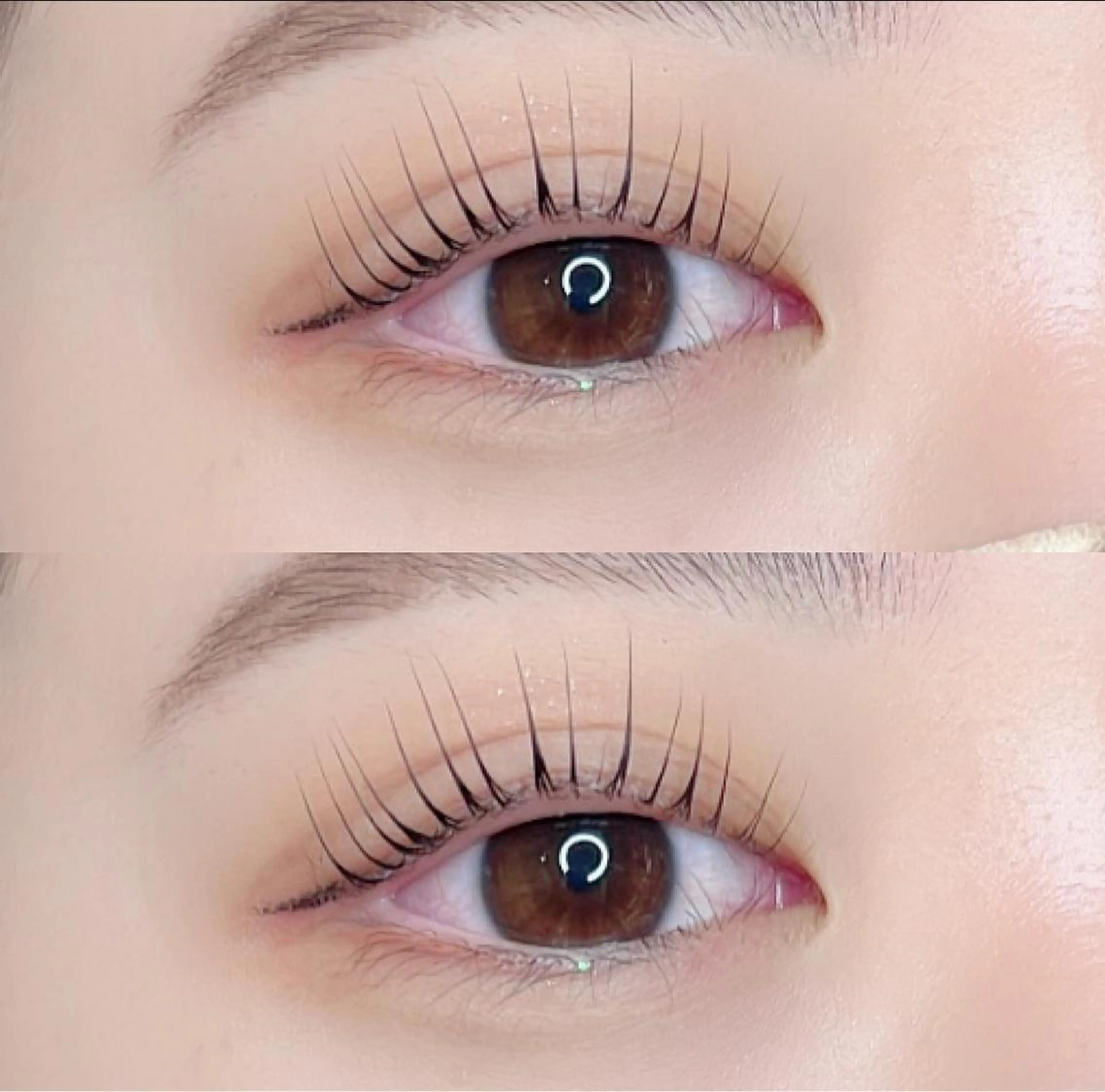 パリジェンヌラッシュリフト＋ラッシュアディクトサロンケア🧼🫧の写真