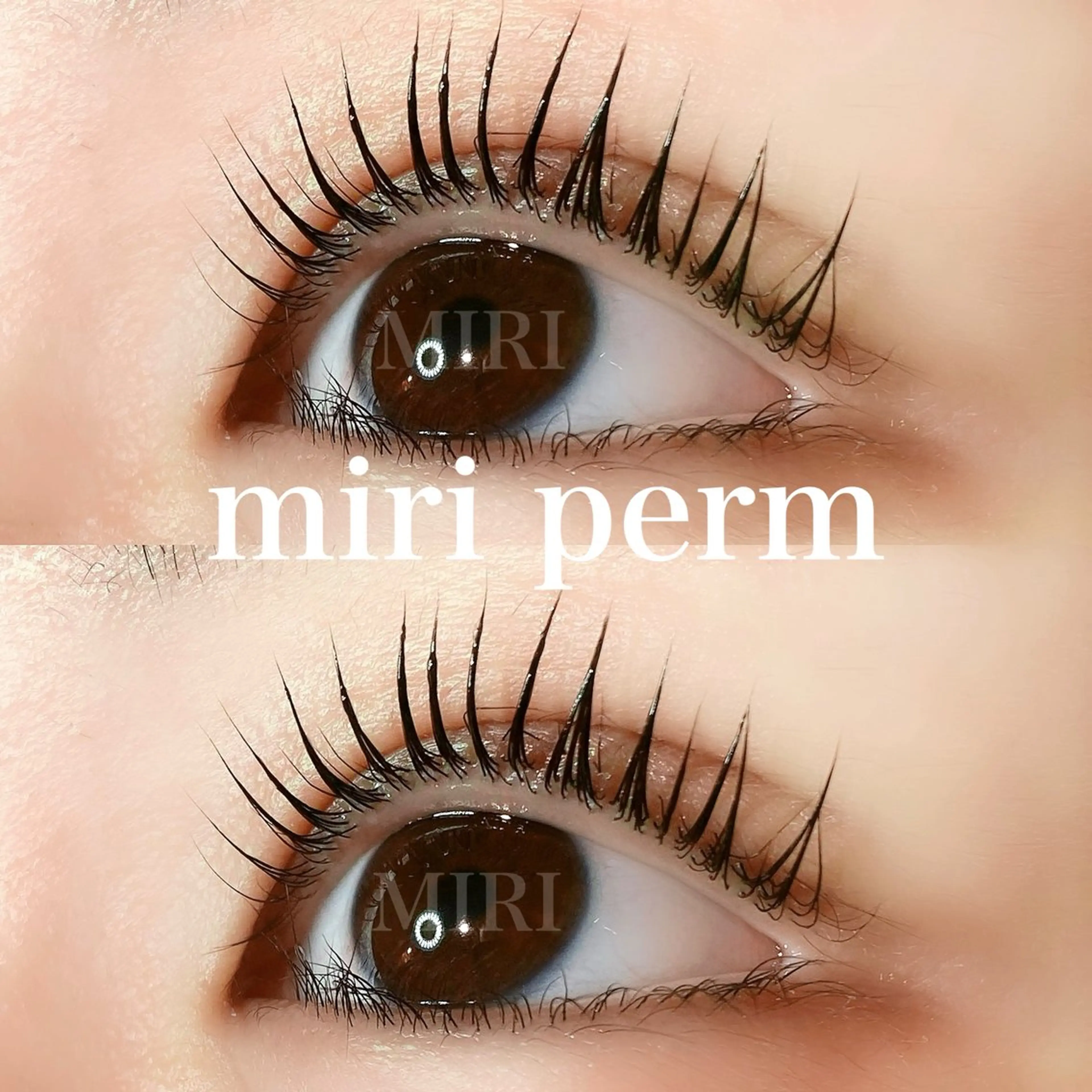 マツエク・マツパ マツパ まつげパーマ&アイブロウMIRI所属・🌷まつ毛パーマ 専門店MIRI 🌷のマツエク・マツパデザイン