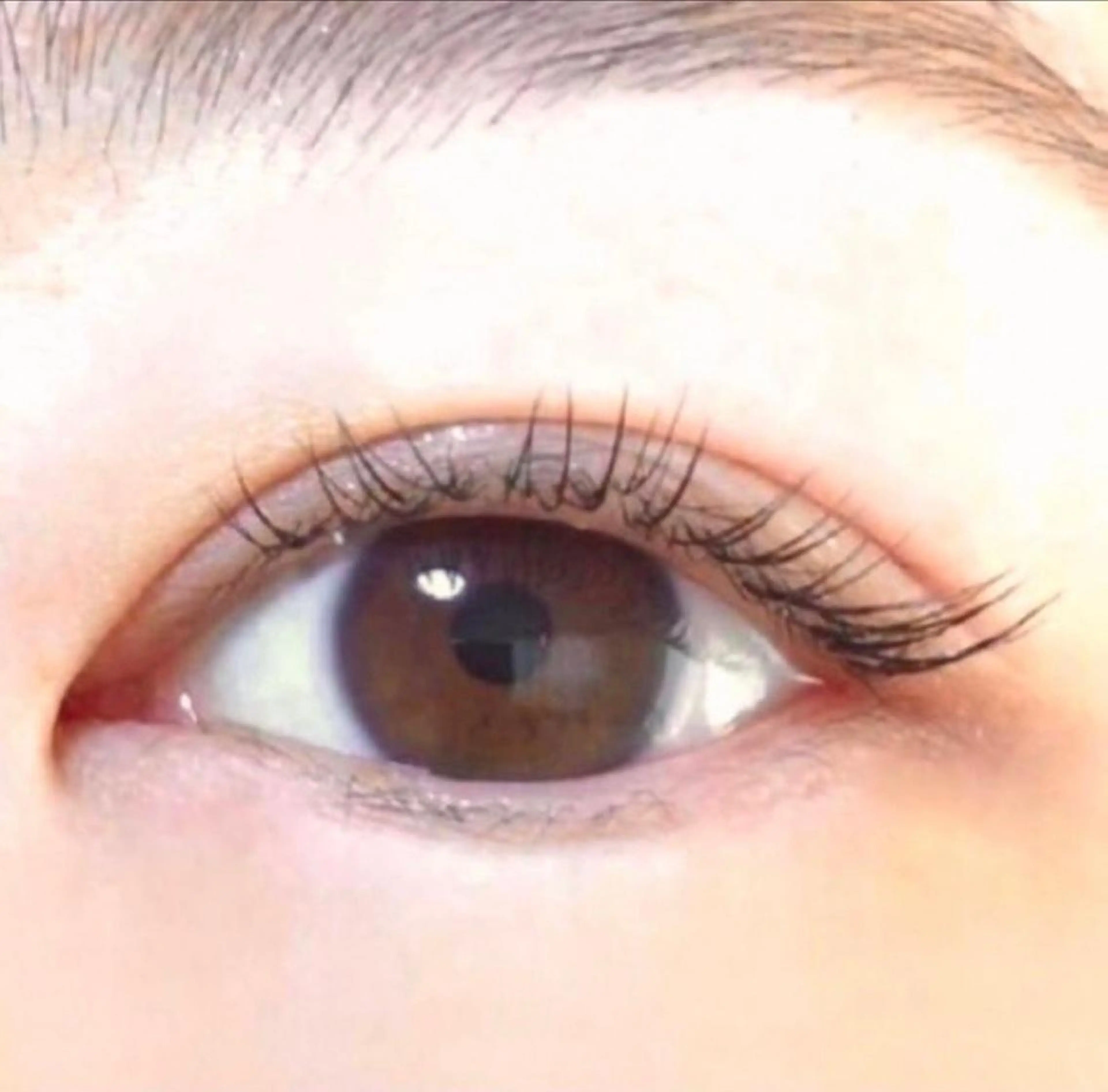 マツエク・マツパ アイシス　京橋店所属・阪田 紗のマツエク・マツパデザイン