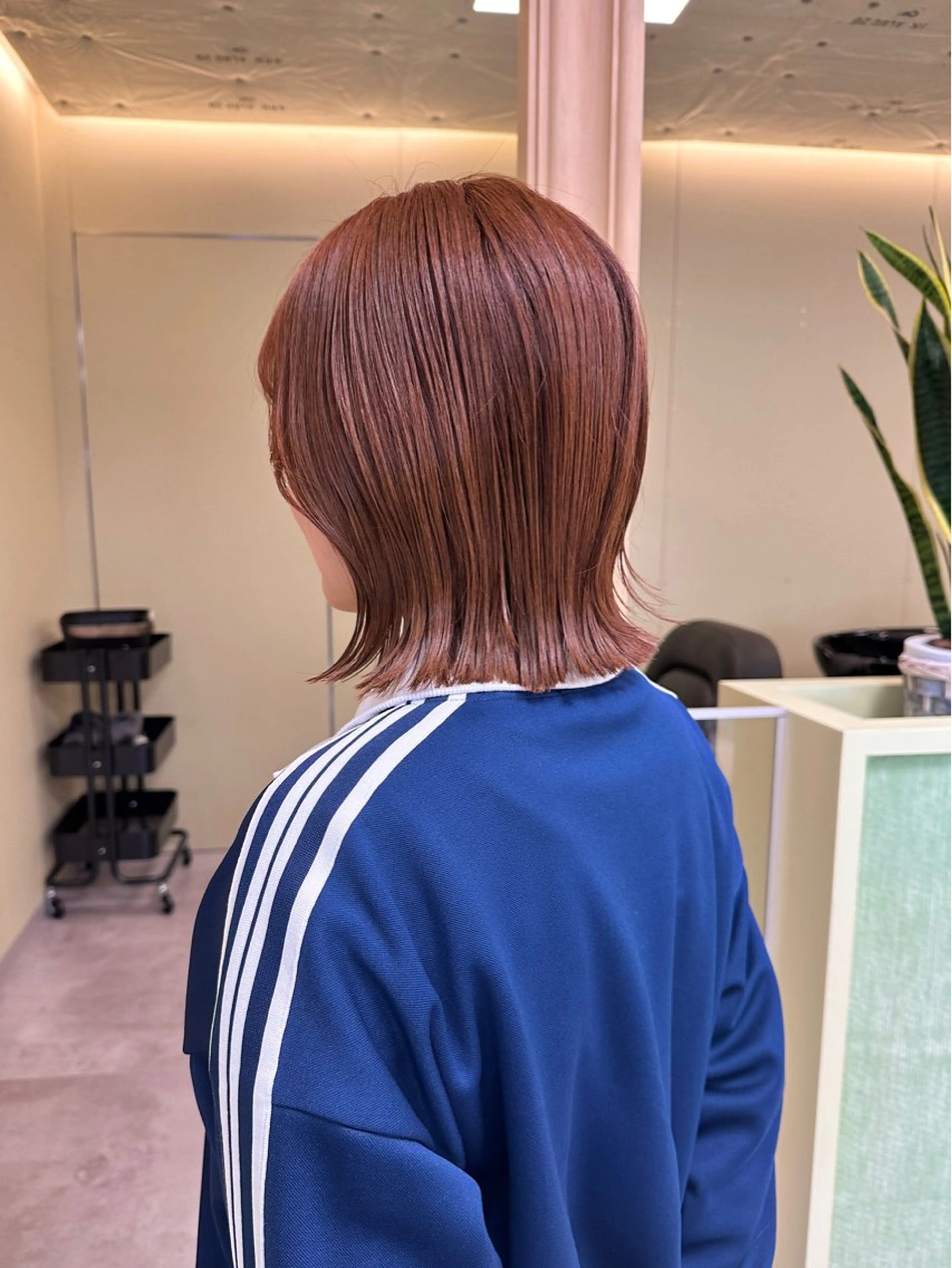 ミディアム カット ヘアカラー ボブ/ぱつっとボブ/ 谷口 海星のヘアスタイル