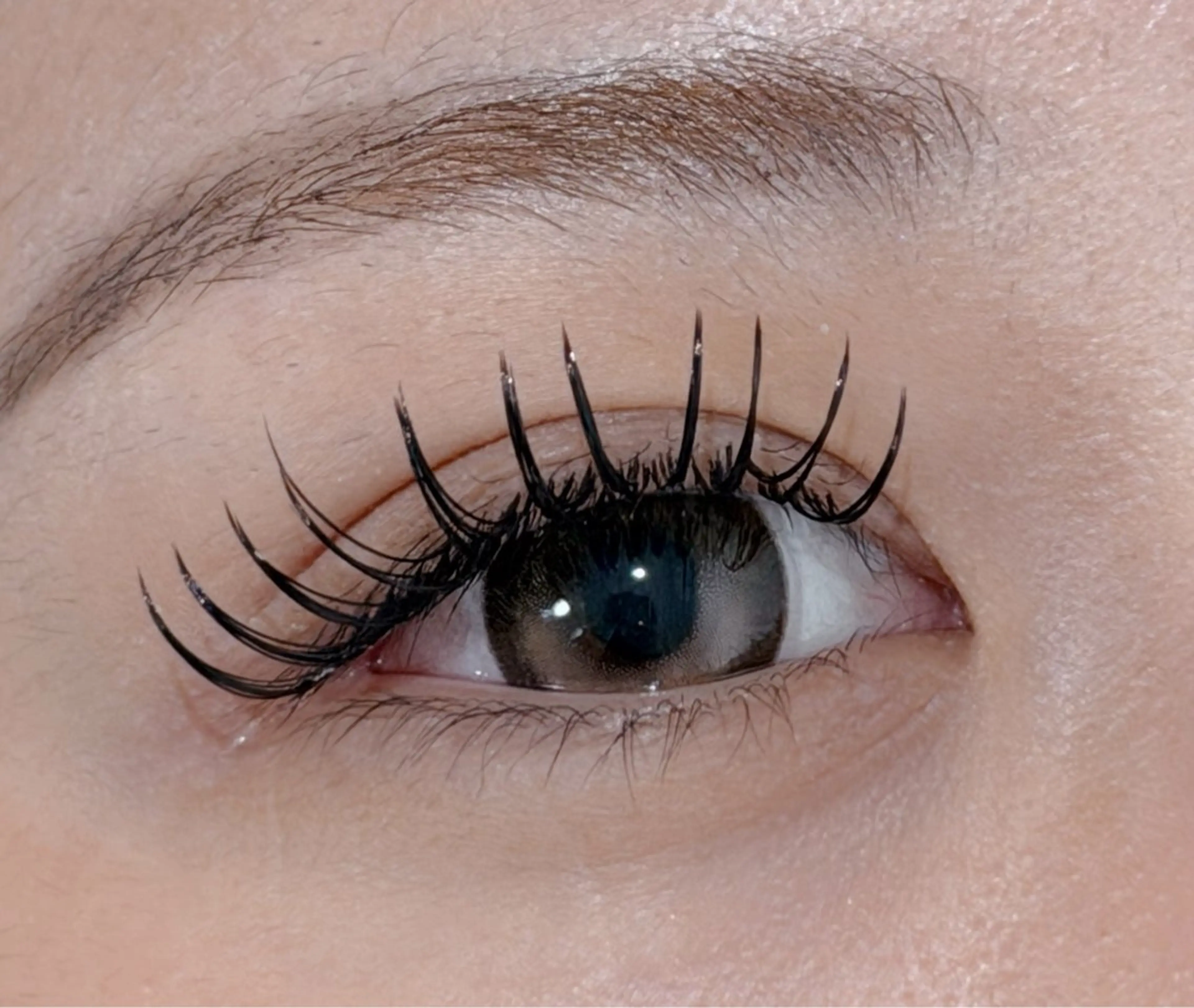 マツエク・マツパ Lil by Fan. 菊池のマツエク・マツパデザイン