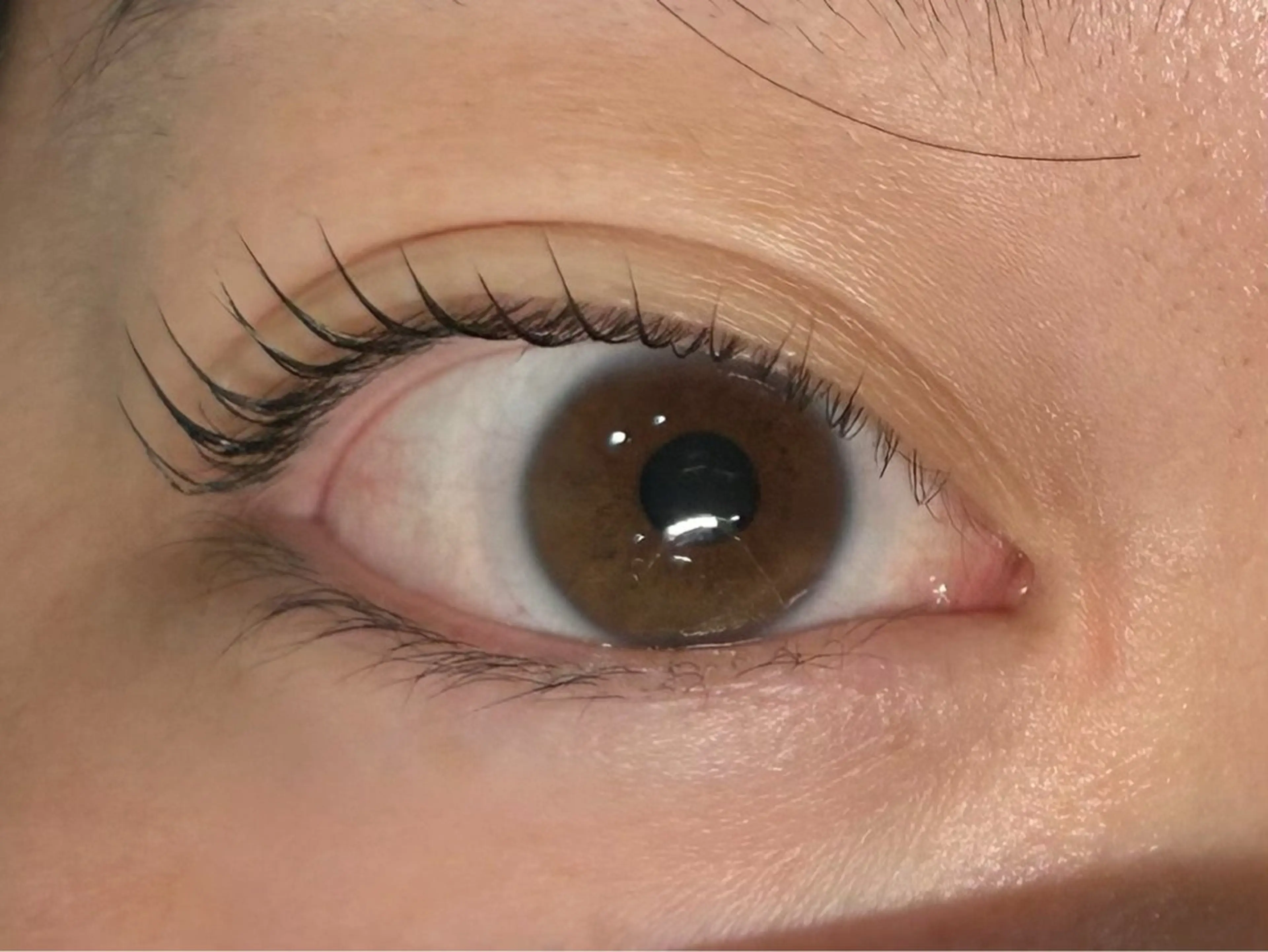 マツエク・マツパ マツパ ᴘʟᴀᴛɪɴᴜᴍ ᴅᴏʟʟえば🫧のマツエク・マツパデザイン