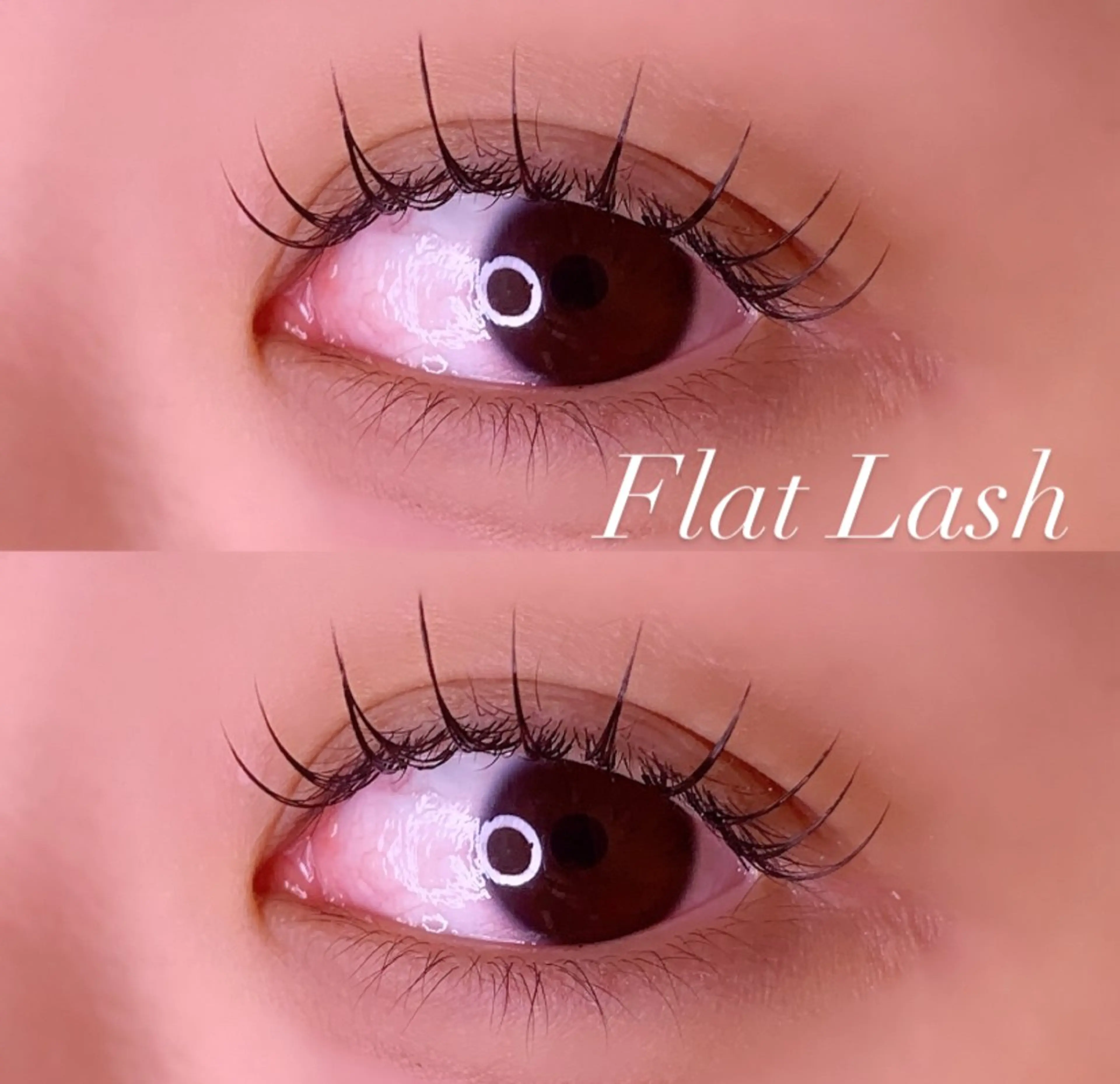 マツエク・マツパ Cカール フラットラッシュ マツエク Ayumi.pro 🍆N《4階》のマツエク・マツパデザイン