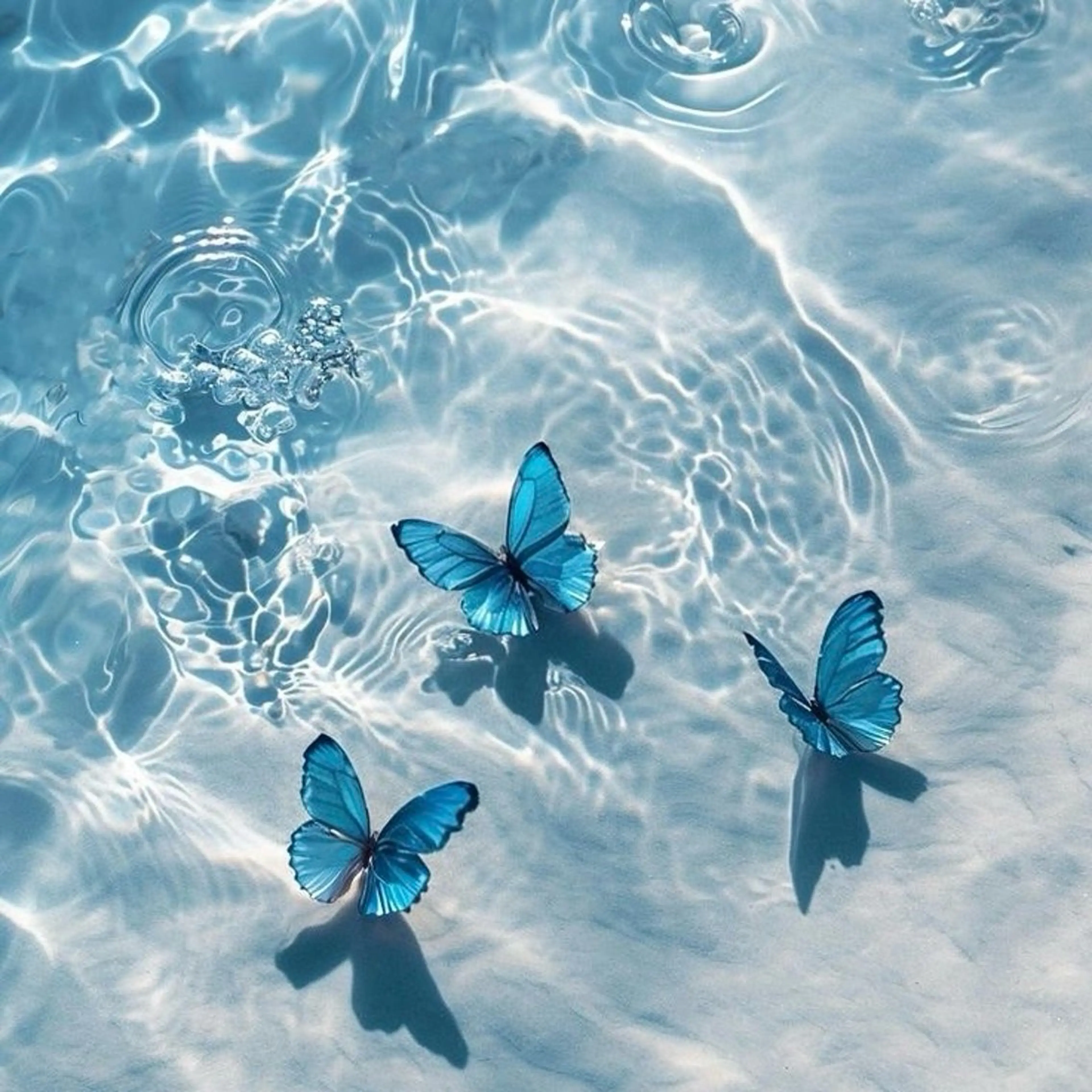 丸山 知夏のマツエク・マツパデザイン