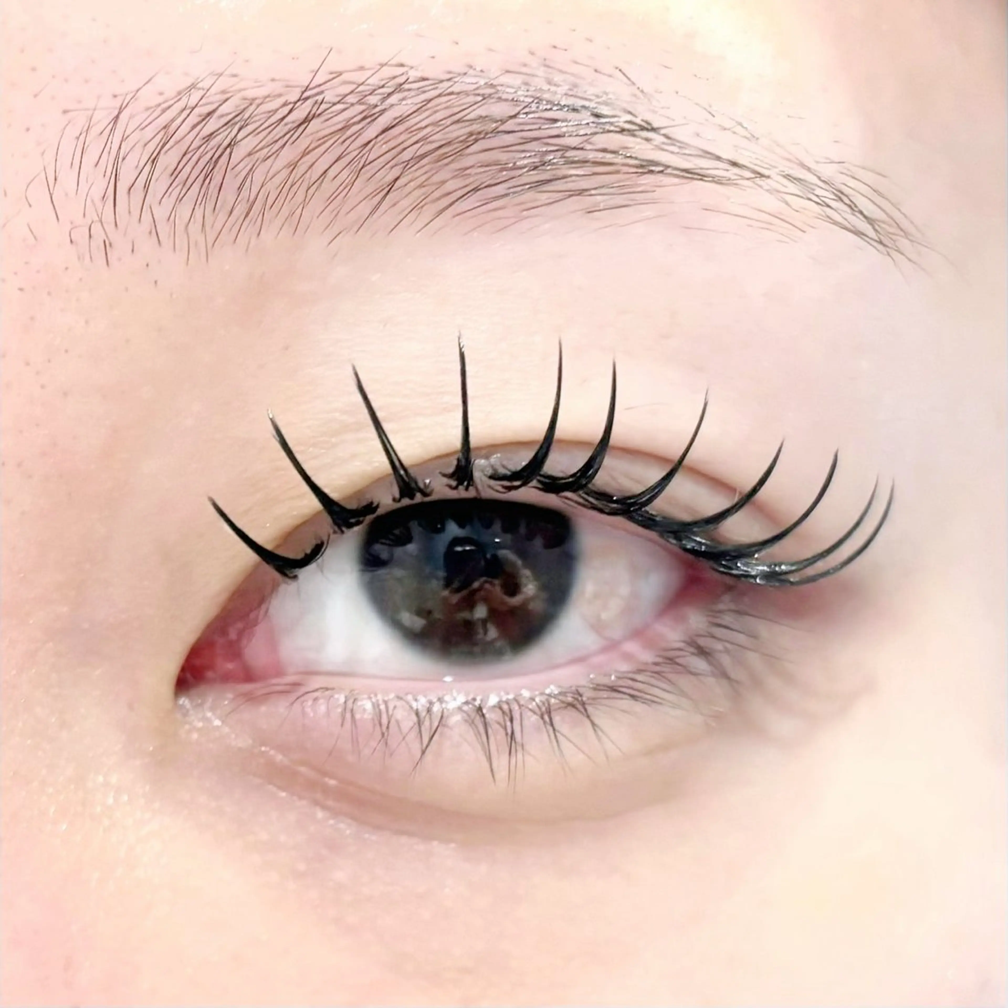 🫧新技術 ＆healthy  フラット120本＋まつ毛パーマ導入価格🫧の写真