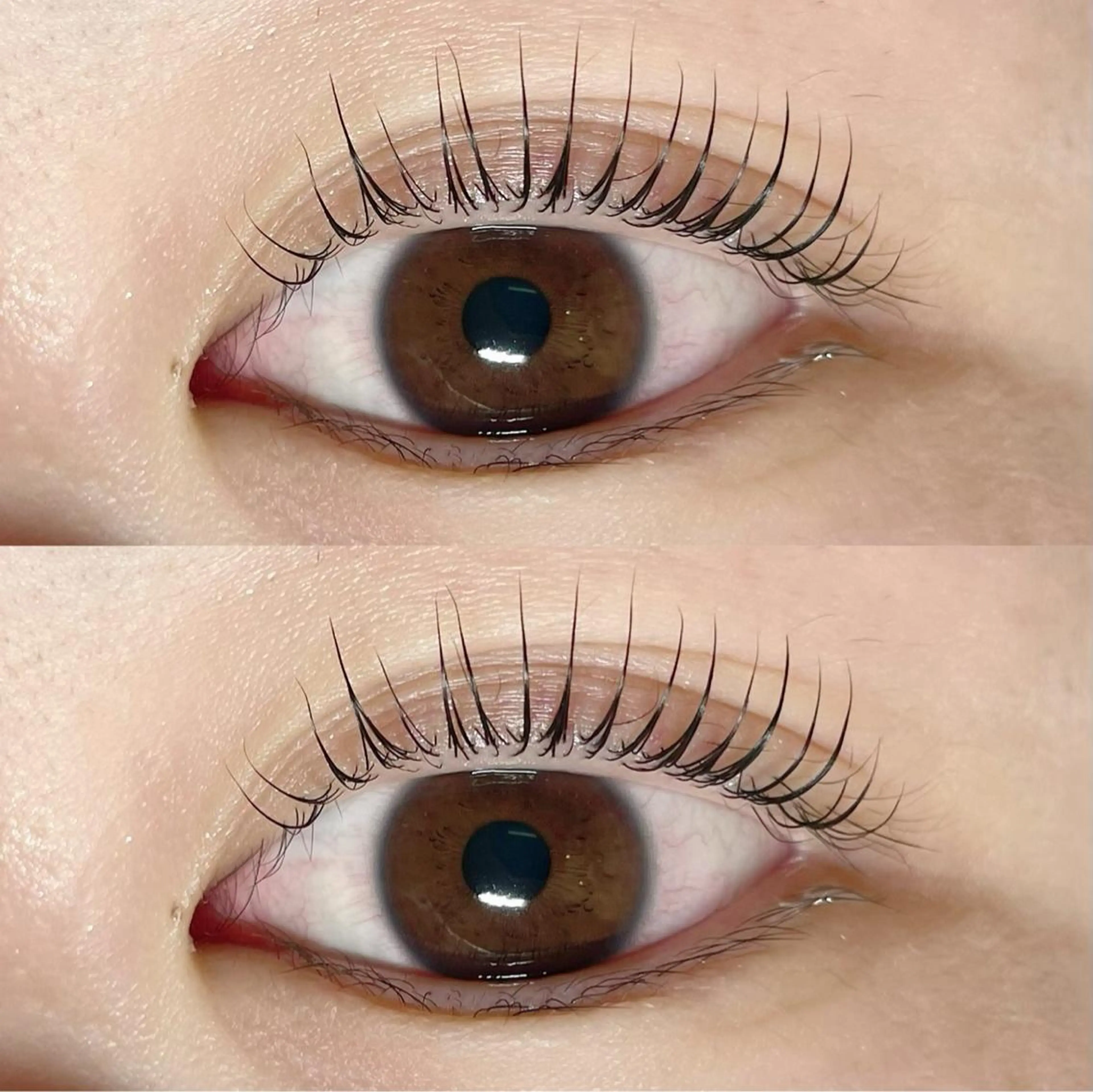 マツエク・マツパ パリジェンヌラッシュリフト Sakura - blow京橋のマツエク・マツパデザイン