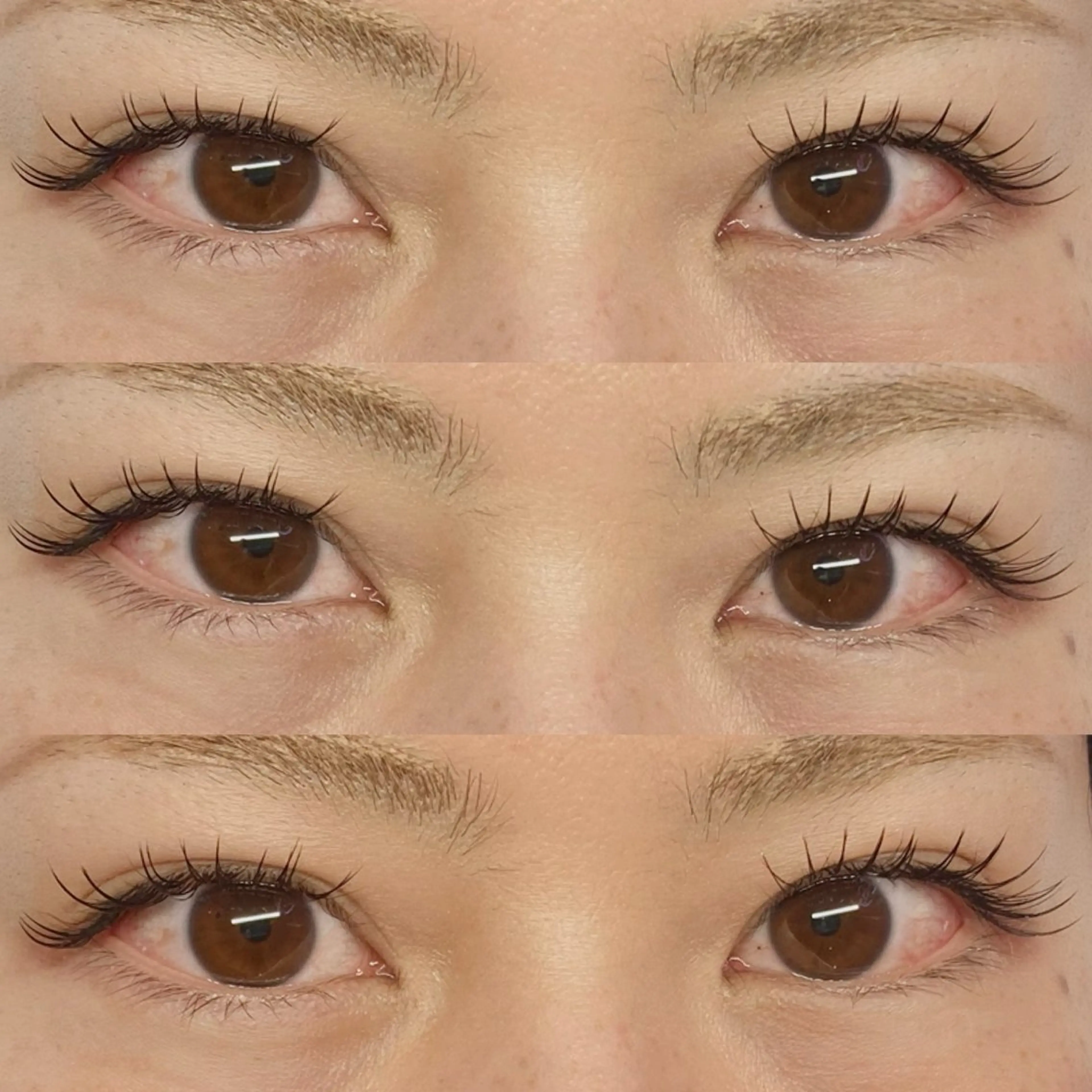 【フラットラッシュ120本】Jr.アイリストキャンペーン🦋カラーエクステ+¥1500/長さ・カール・デザインお選び🉑の写真