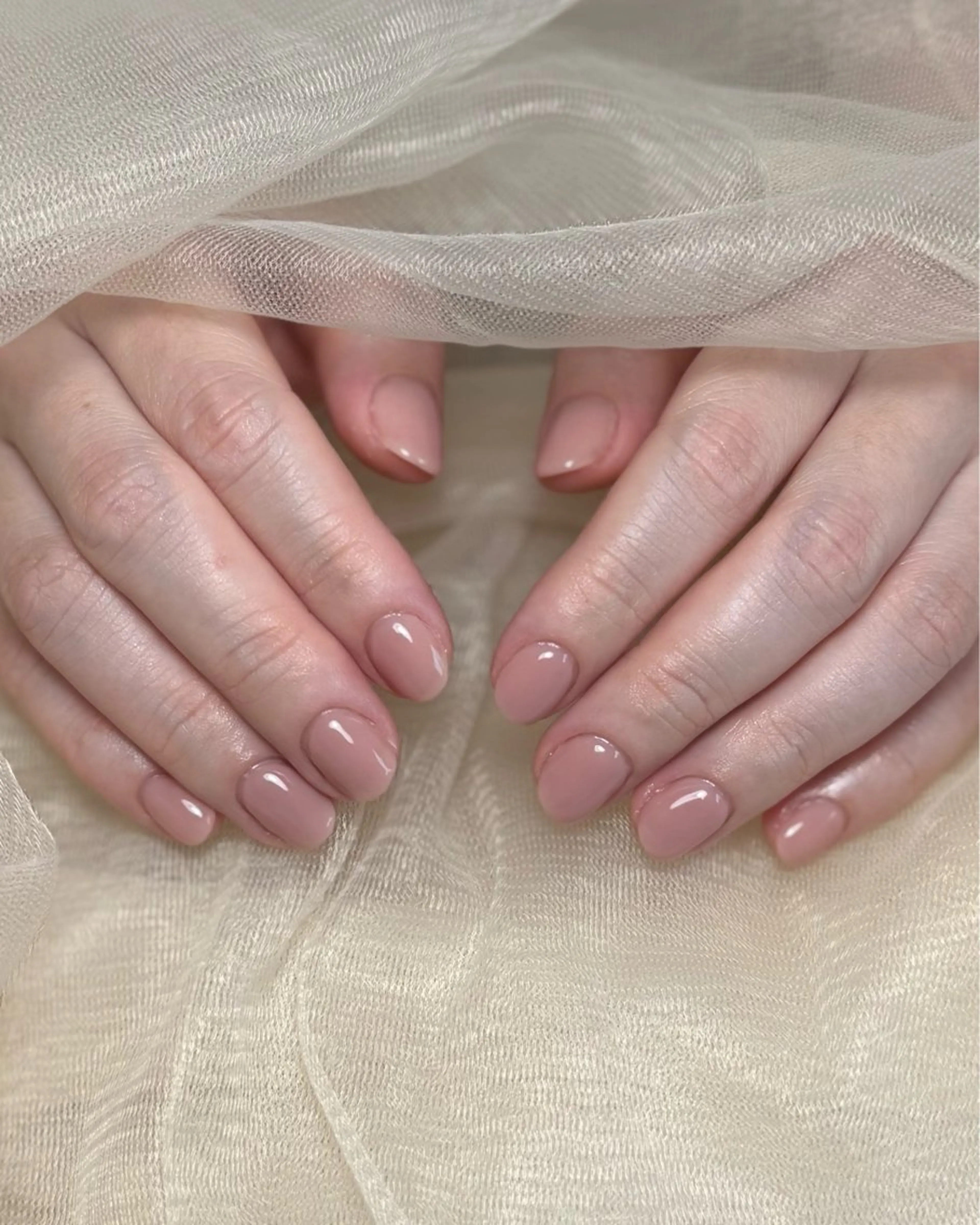 オフなしワンカラーの写真