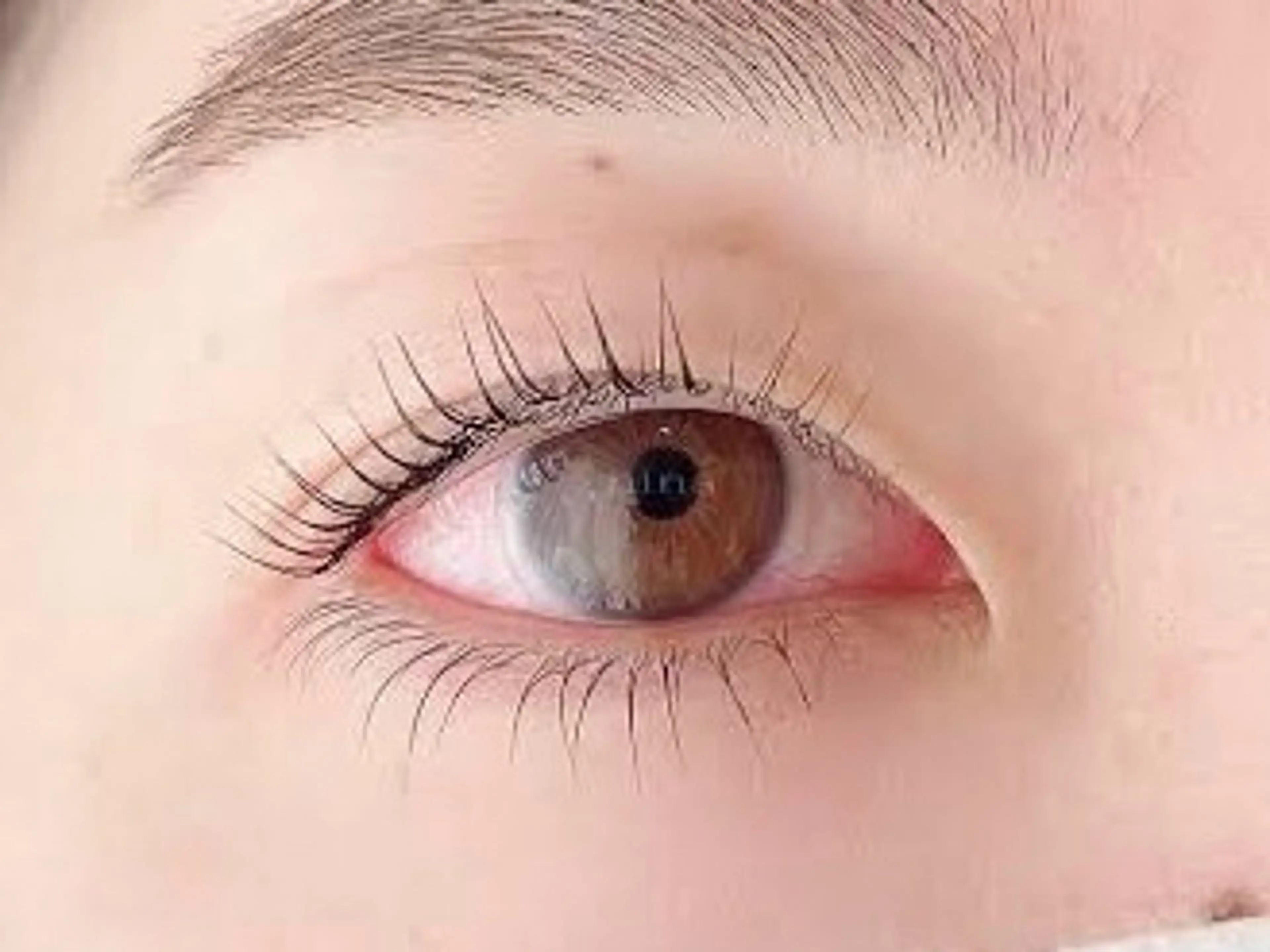 マツエク・マツパ パリジェンヌラッシュリフト マリーテレジア博多 三丁目🐰UMENOのマツエク・マツパデザイン