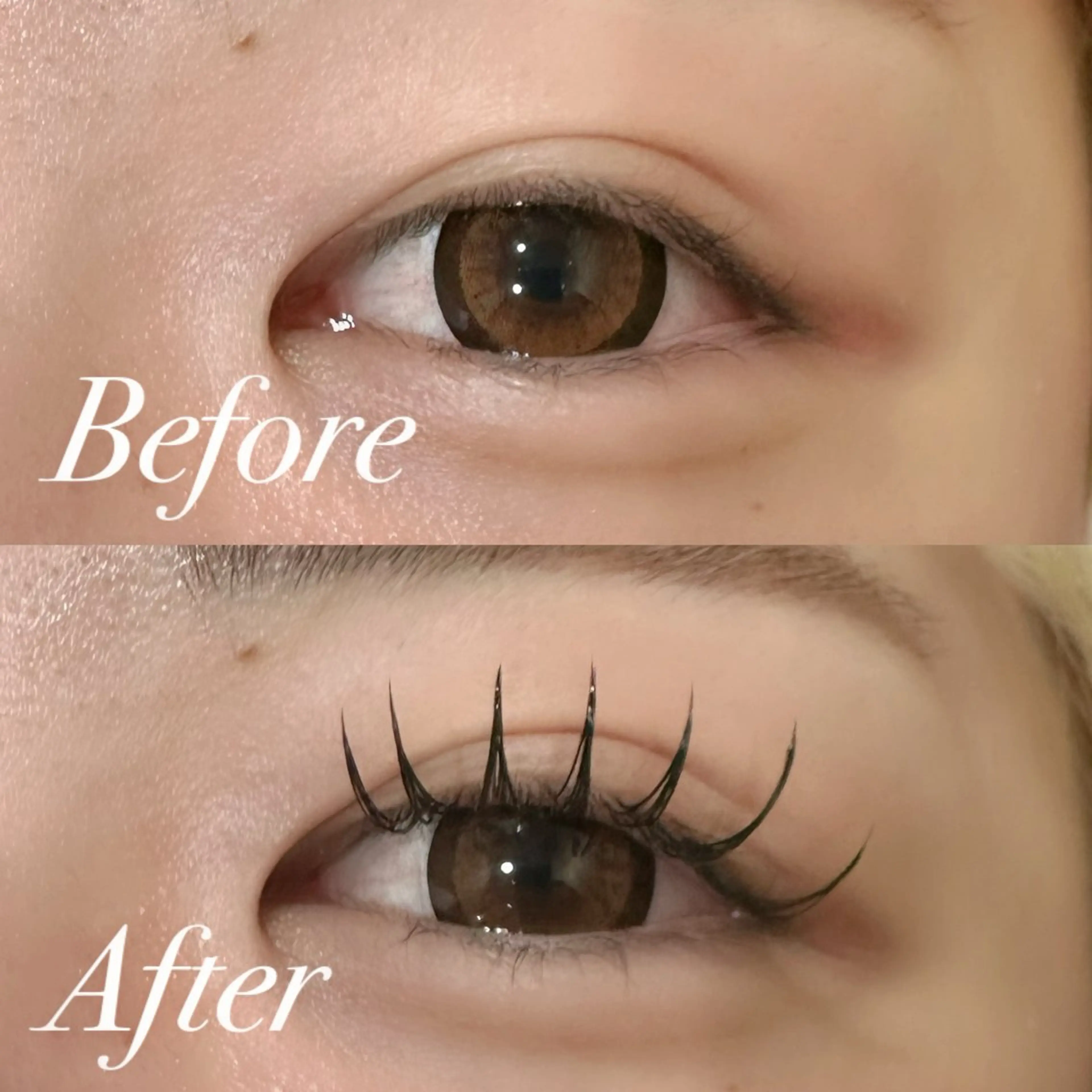 マツエク・マツパ マツエク eight misaki🦋のその他イメージ