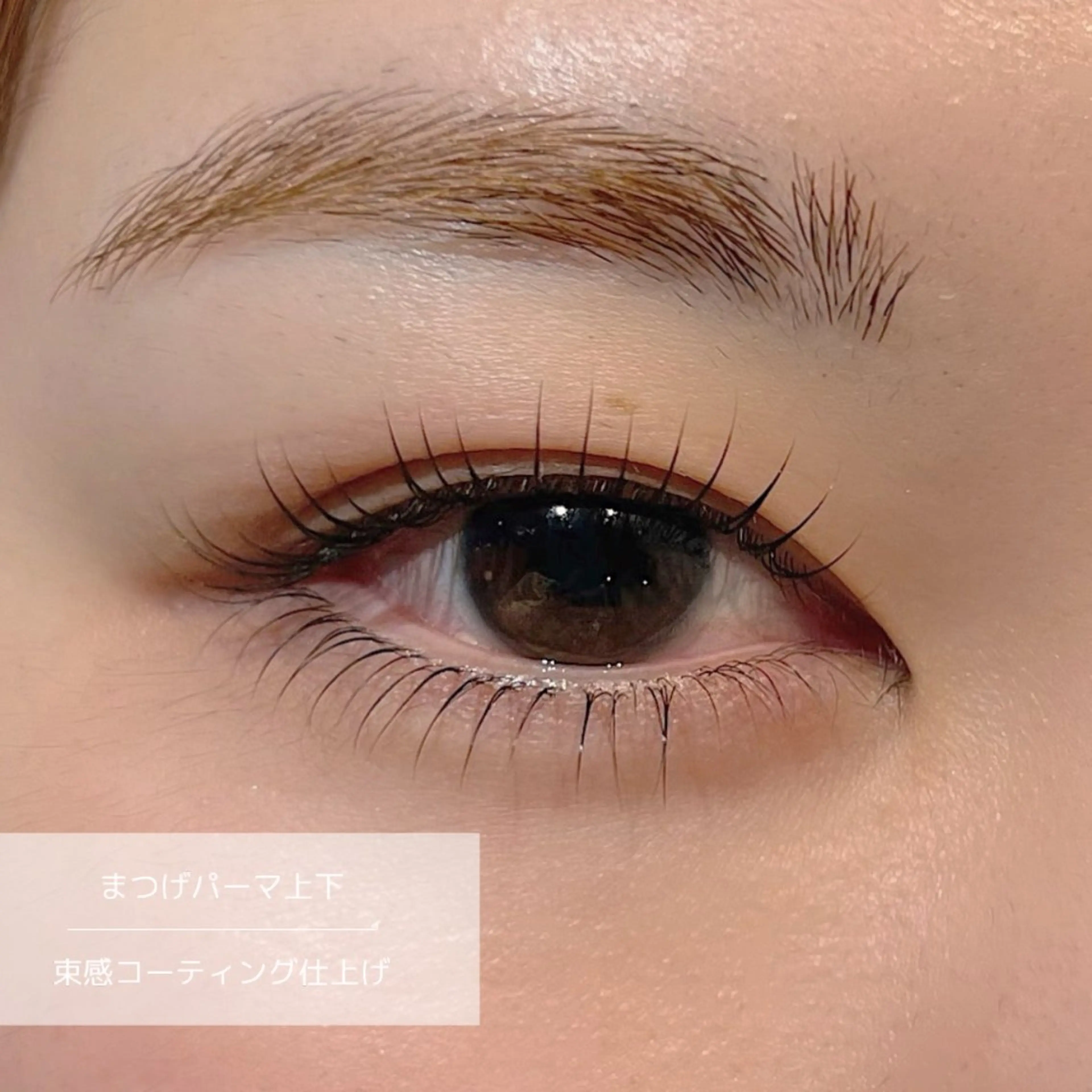 マツエク・マツパ 束感まつ毛 パリジェンヌラッシュリフト 下まつげエクステ 一重×まつ毛パーマ マツパ 錦糸町eyelist RION🦋のマツエク・マツパデザイン