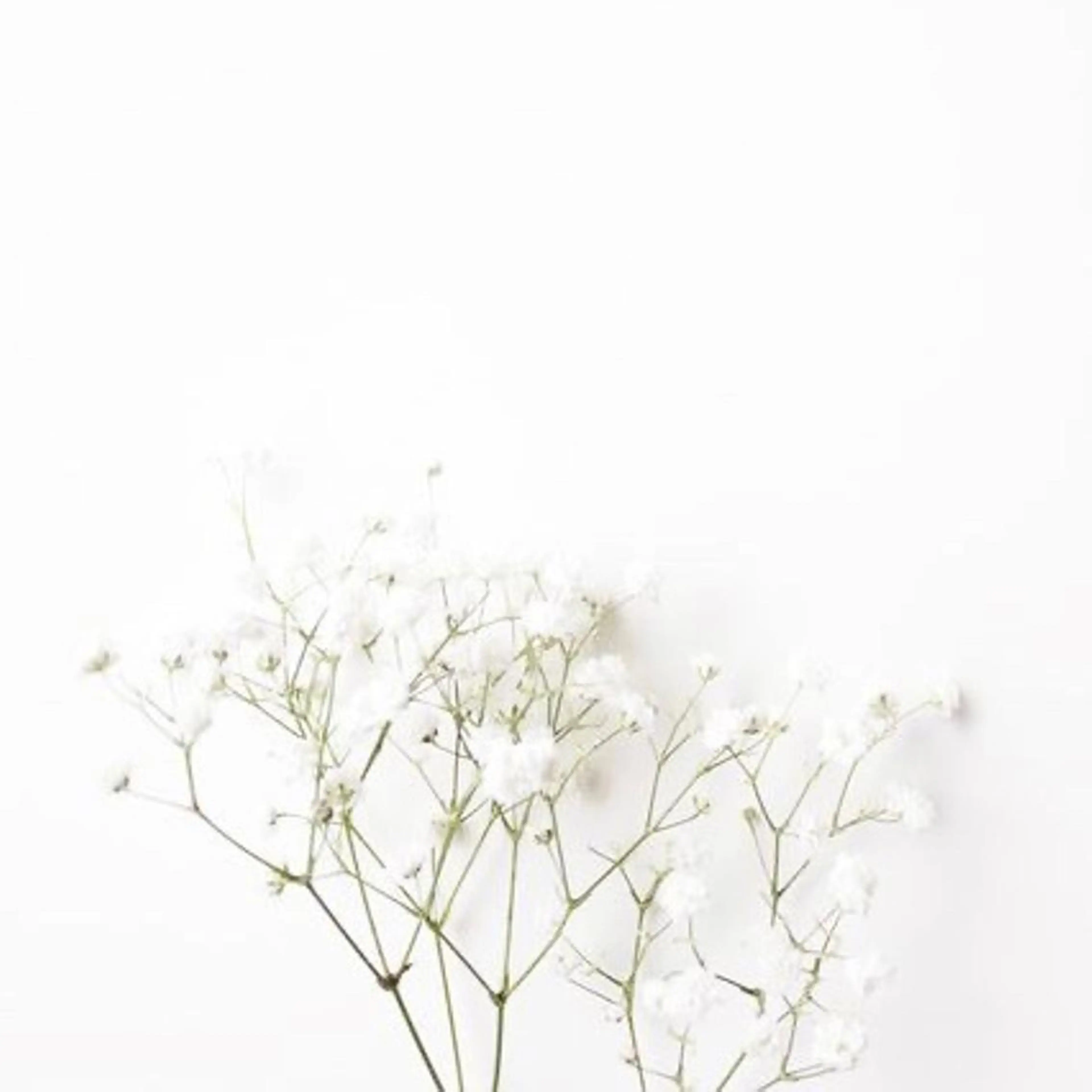 メンズ マツエク・マツパ アイブロウ Lash&brow PORTE269布施店所属・brace 竹田愛海のエステ・リラクイメージ