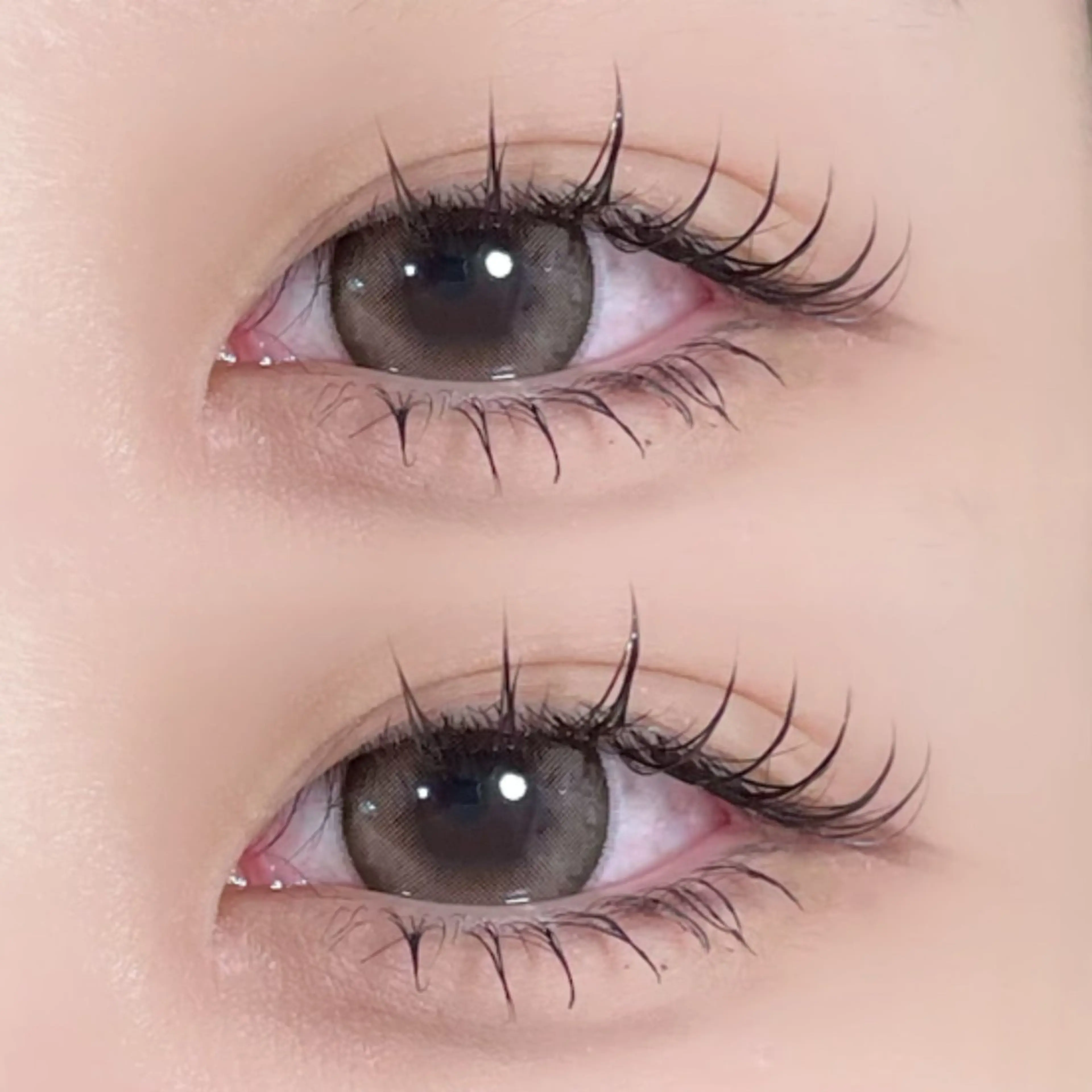 フラットラッシュ練習モデル80本の写真