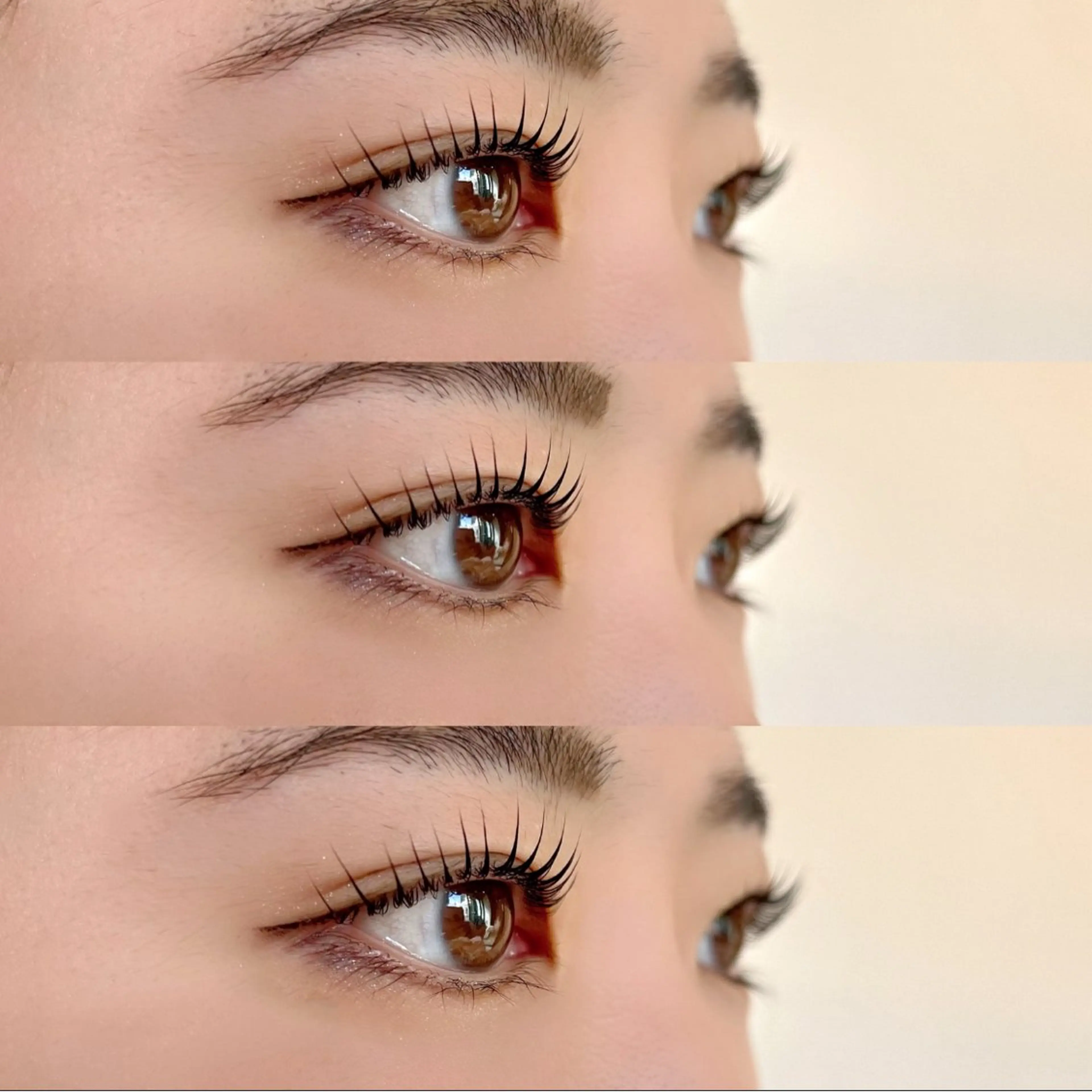 マツエク・マツパ sofa 🛋⸝⸝ urushibaraのマツエク・マツパデザイン