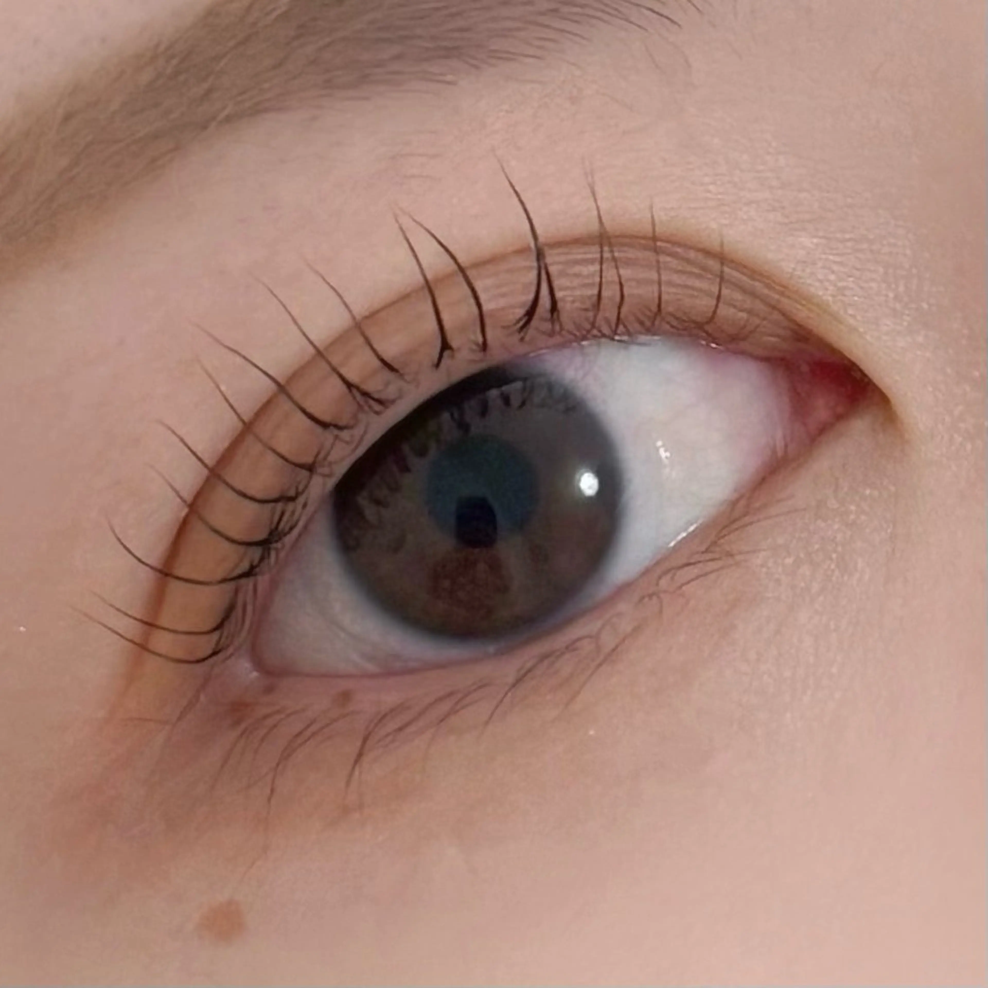 マツエク・マツパ マツパ 福山 愛佳のマツエク・マツパデザイン