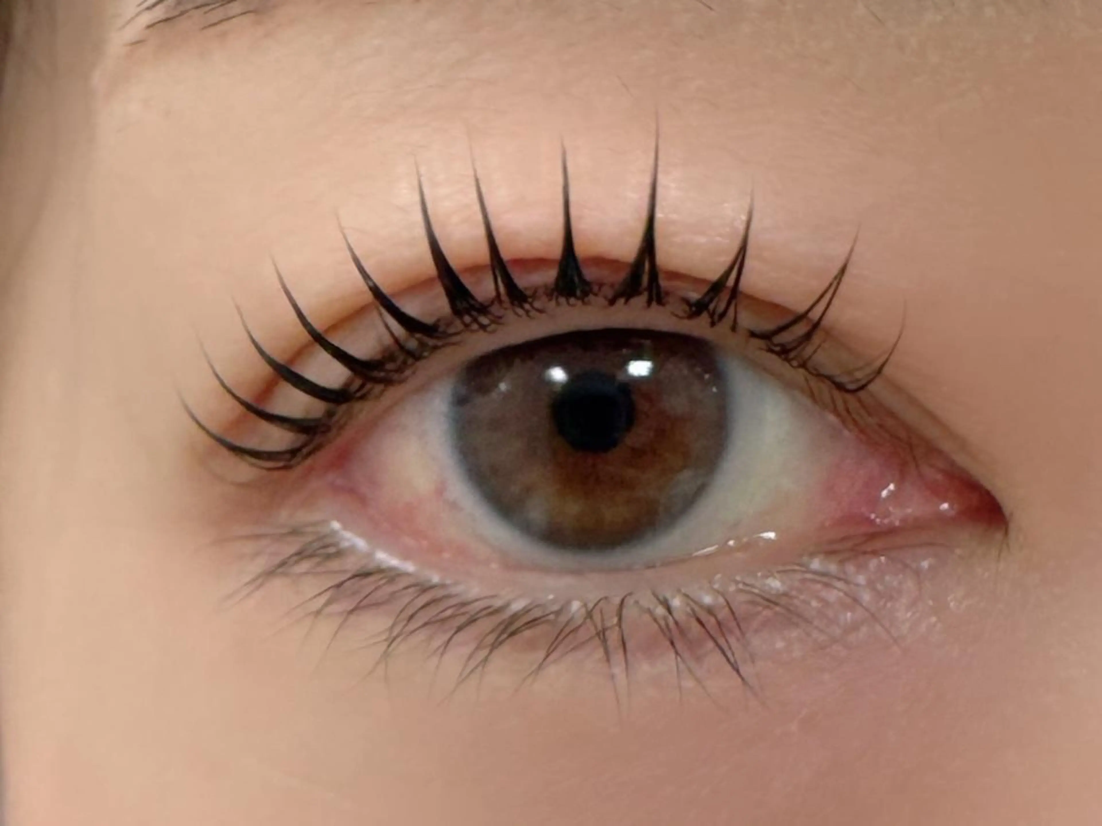 マツエク・マツパ Mian津田沼🌺 ひかりのマツエク・マツパデザイン