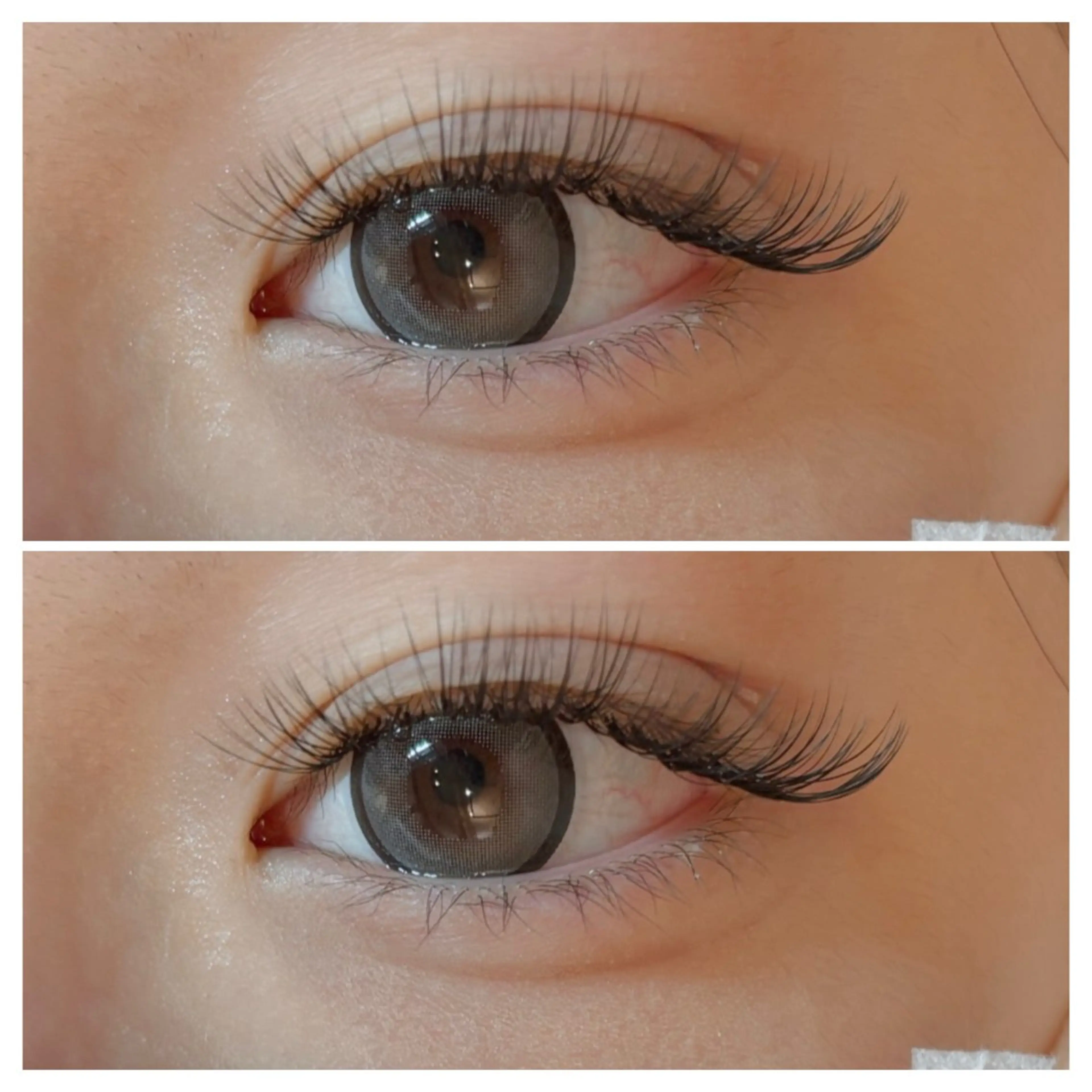 ️🫧3Dボリュームラッシュ️🫧100束（300本）まで👀再来の方オフ＋550円の写真