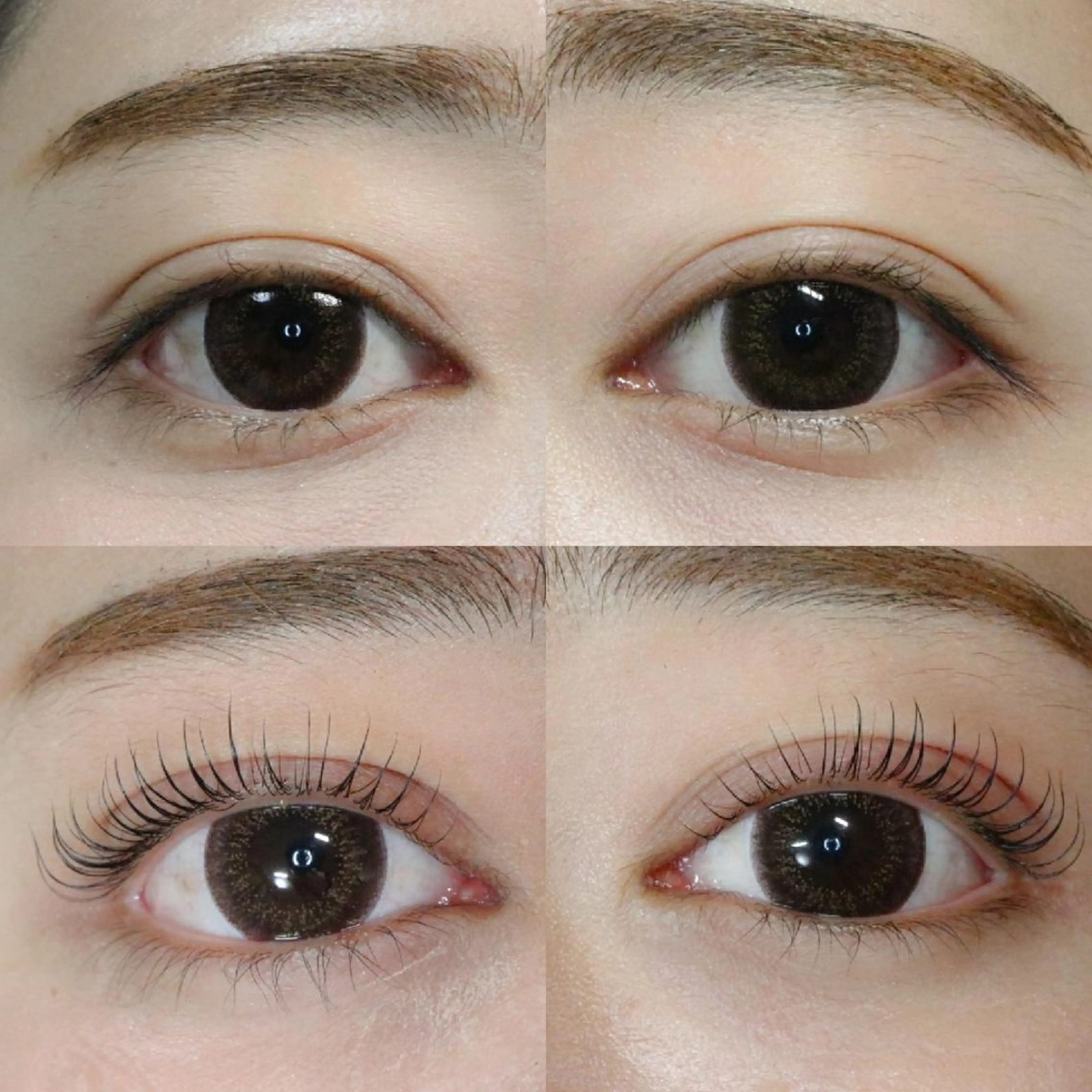 マツエク・マツパ 京都のまつげ桜日和 小島美桜のマツエク・マツパデザイン