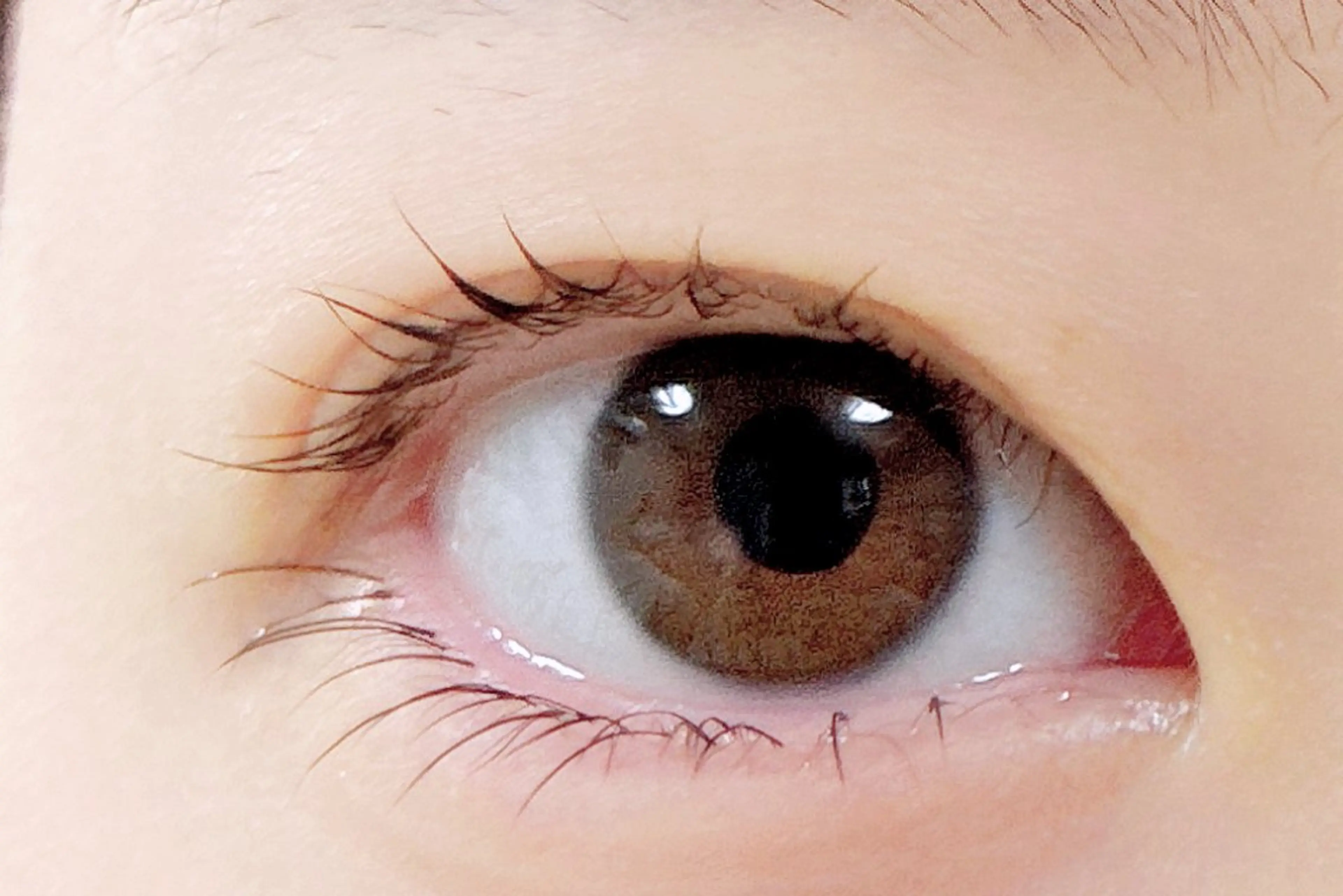 マツエク・マツパ まつげパーマ kico.coサロン 池袋ニ丁目店のマツエク・マツパデザイン