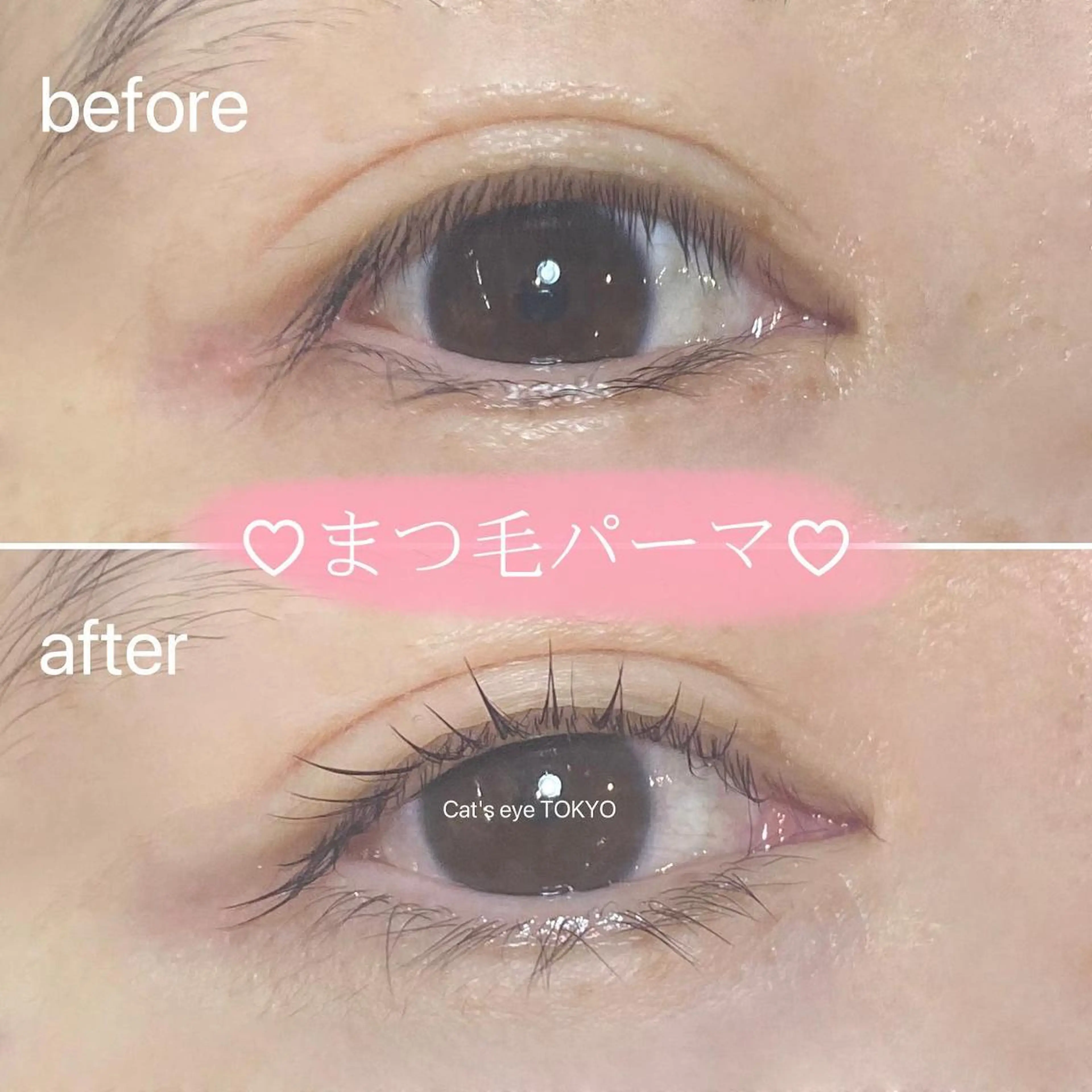 ネイル マツエク・マツパ 一重×まつ毛パーマ Cat's eye TOKYO 新宿店のネイルデザイン