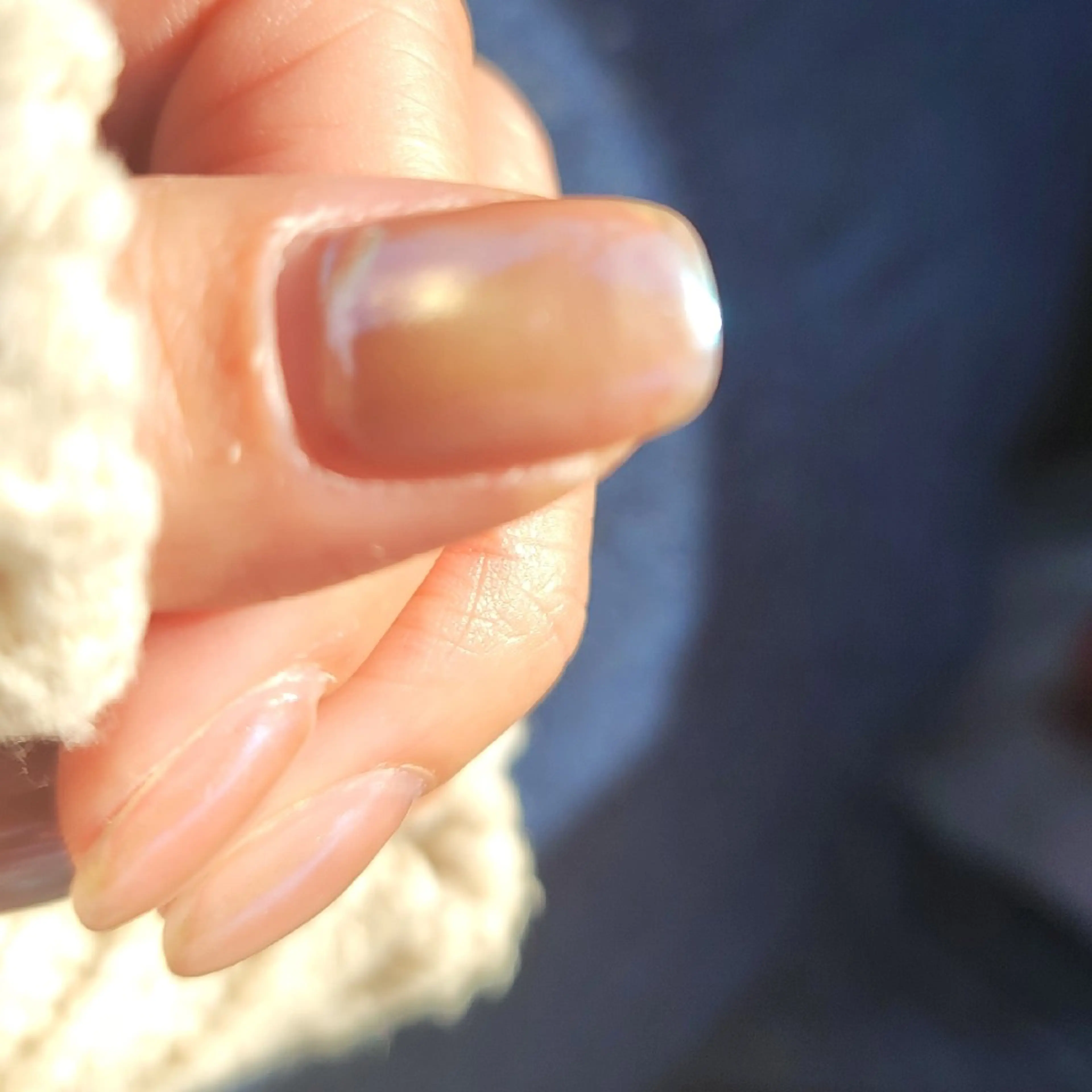 ネイル マグネットネイル ミラーネイル 🌲🌳🚪iiit o🌲🌳🌲のネイルデザイン