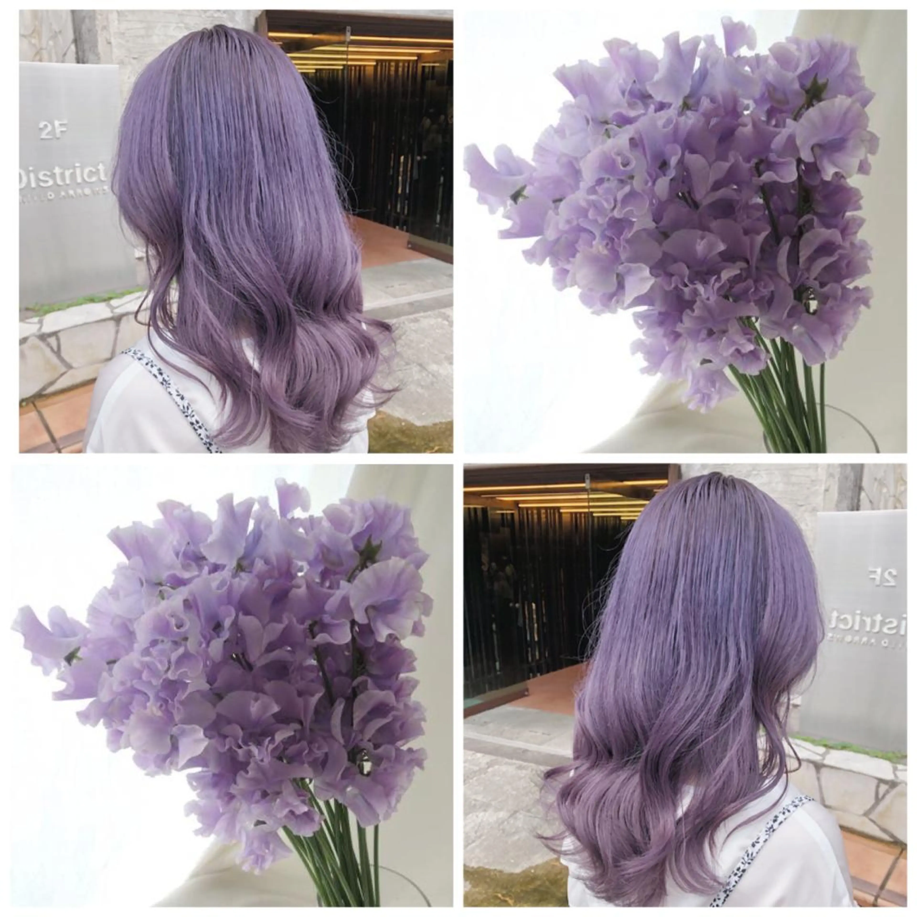 カラー ラベンダーカラー デザインカラー MIKU🦋のヘアスタイル