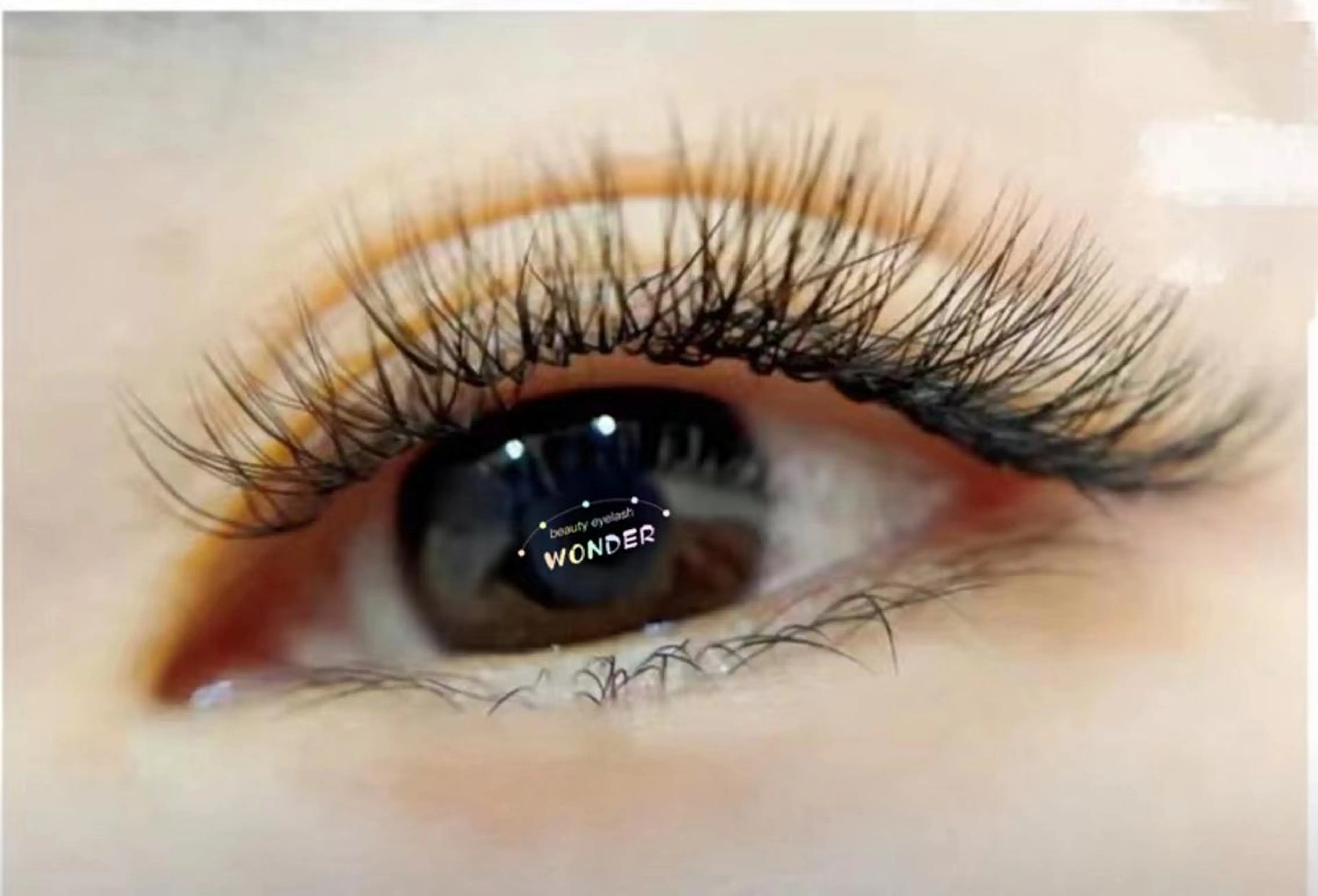 マツエク・マツパ トータルビューティー サロンワンダーのマツエク・マツパデザイン