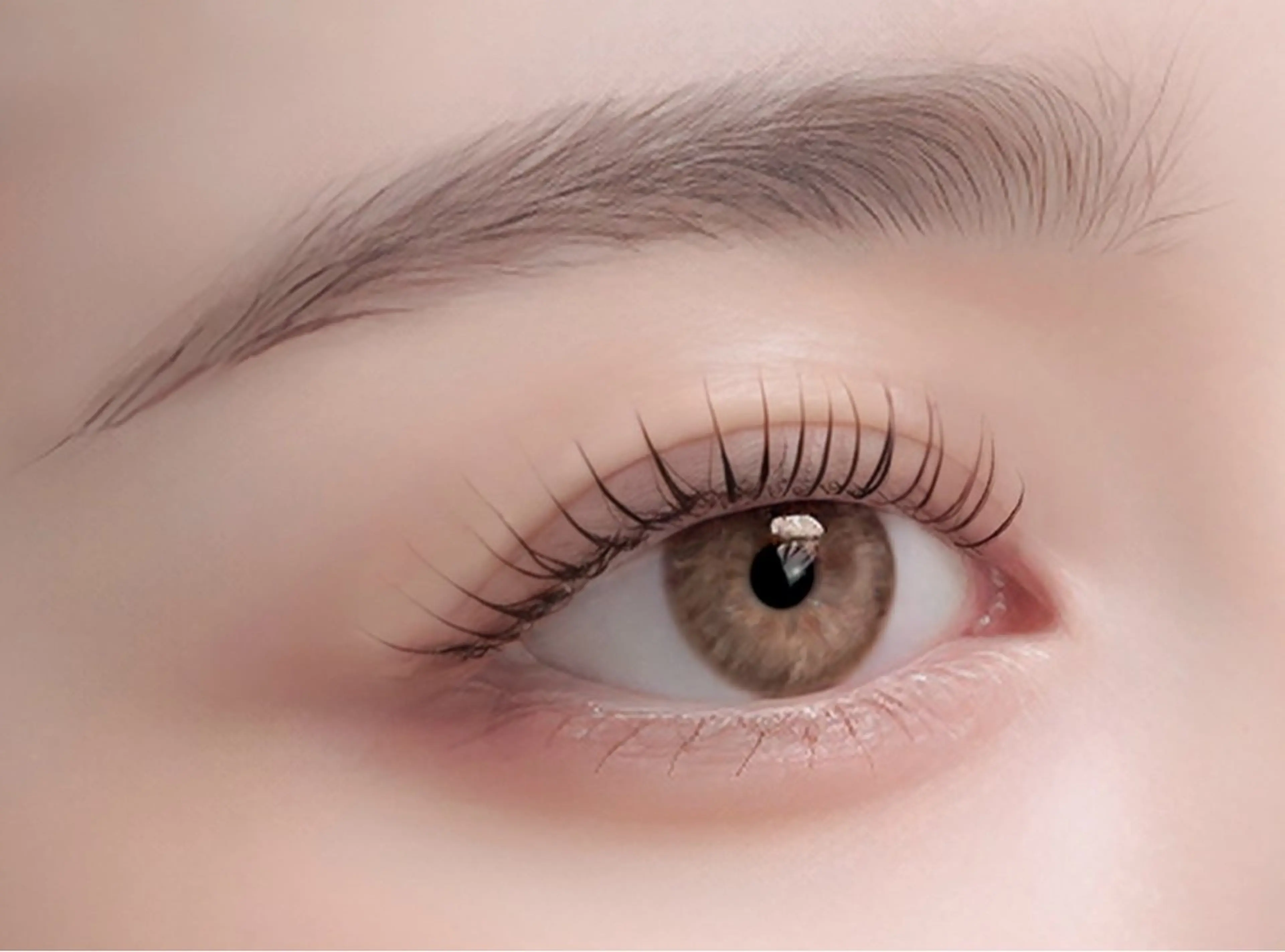 【‪☆練習モデル‪☆】まつ毛パーマ  4/3~10(5.6×)限定‼️の写真