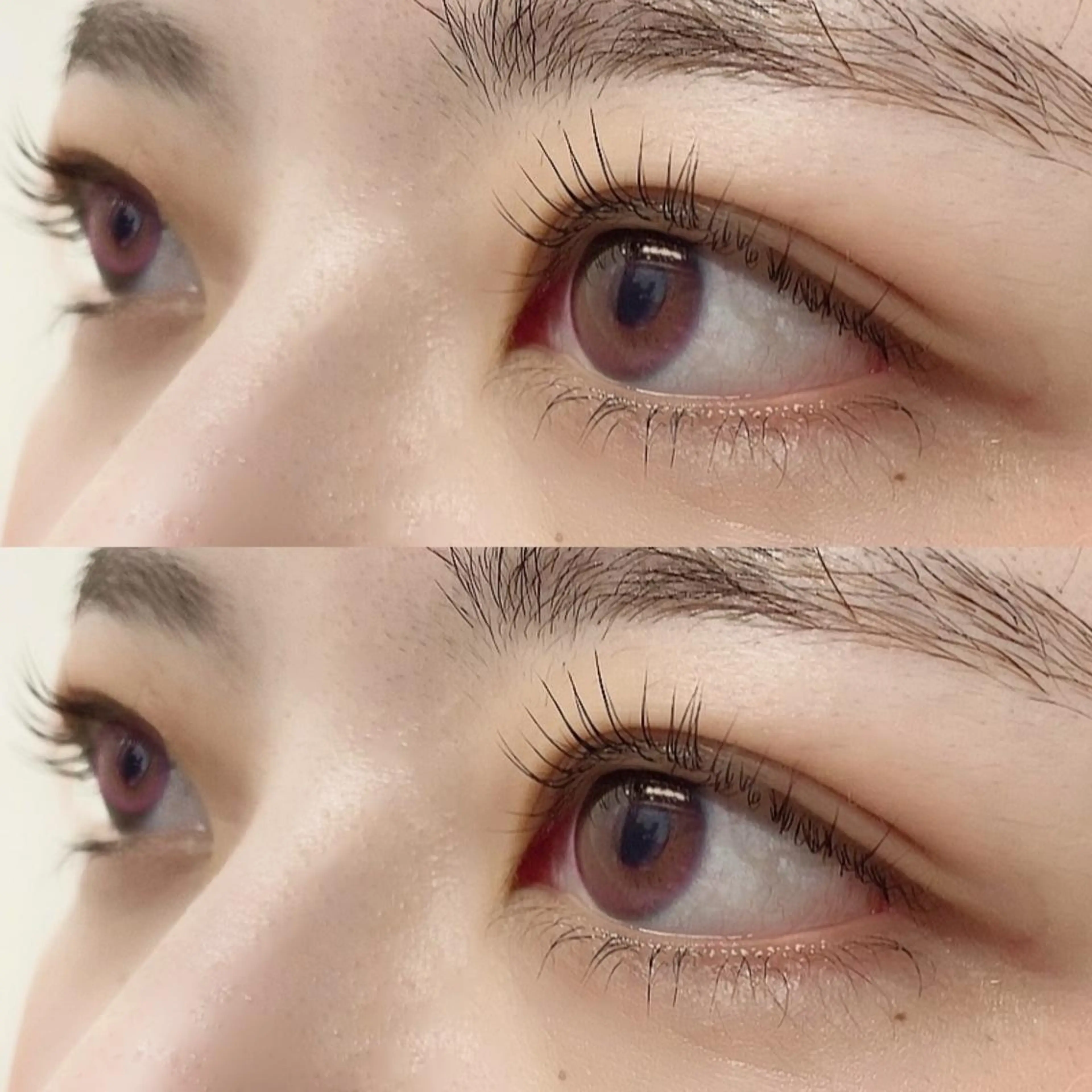 【ご新規様限定】パリジェンヌラッシュリフト🇫🇷の写真