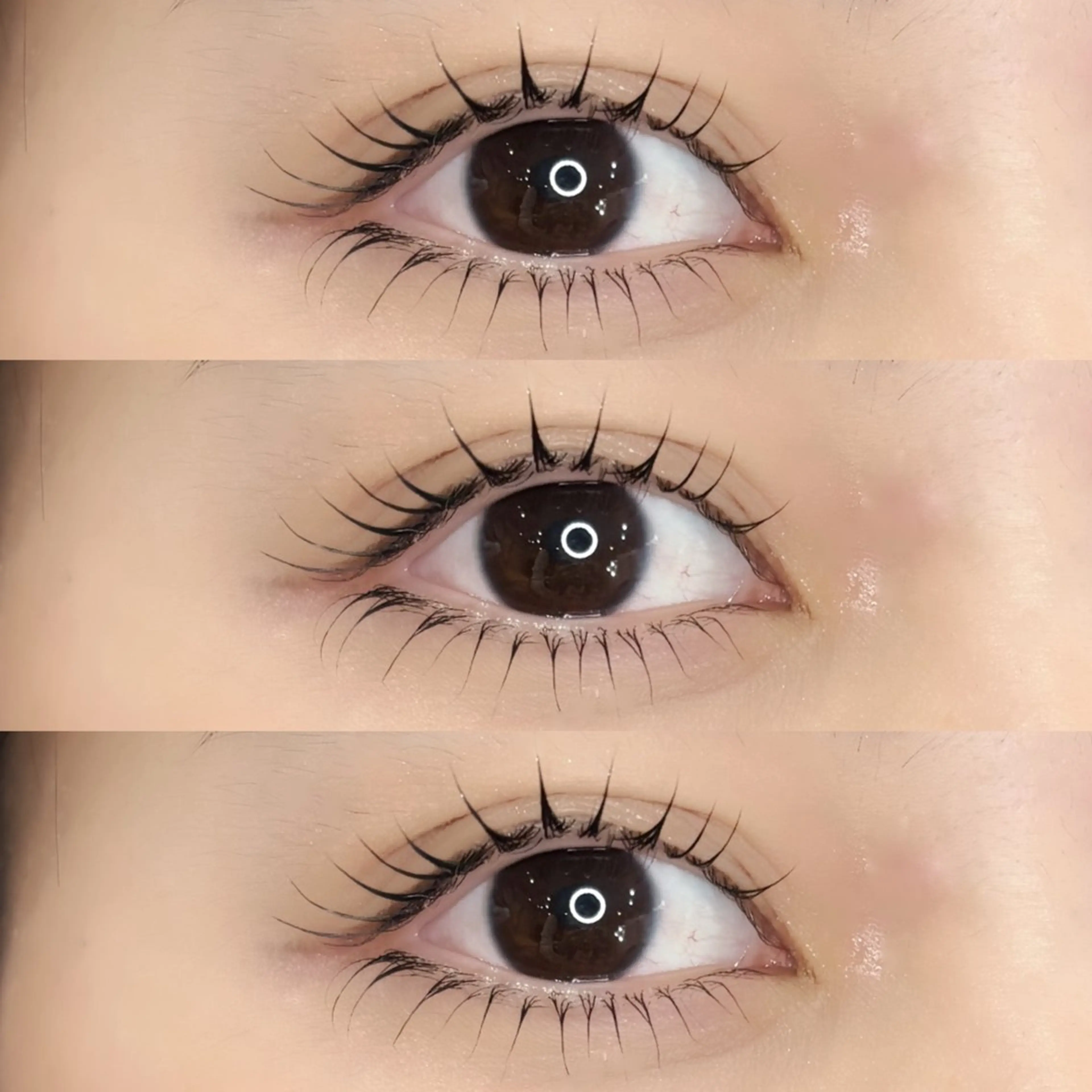 上下パリジェンヌorデザインラッシュリフト🍑✨🤍の写真