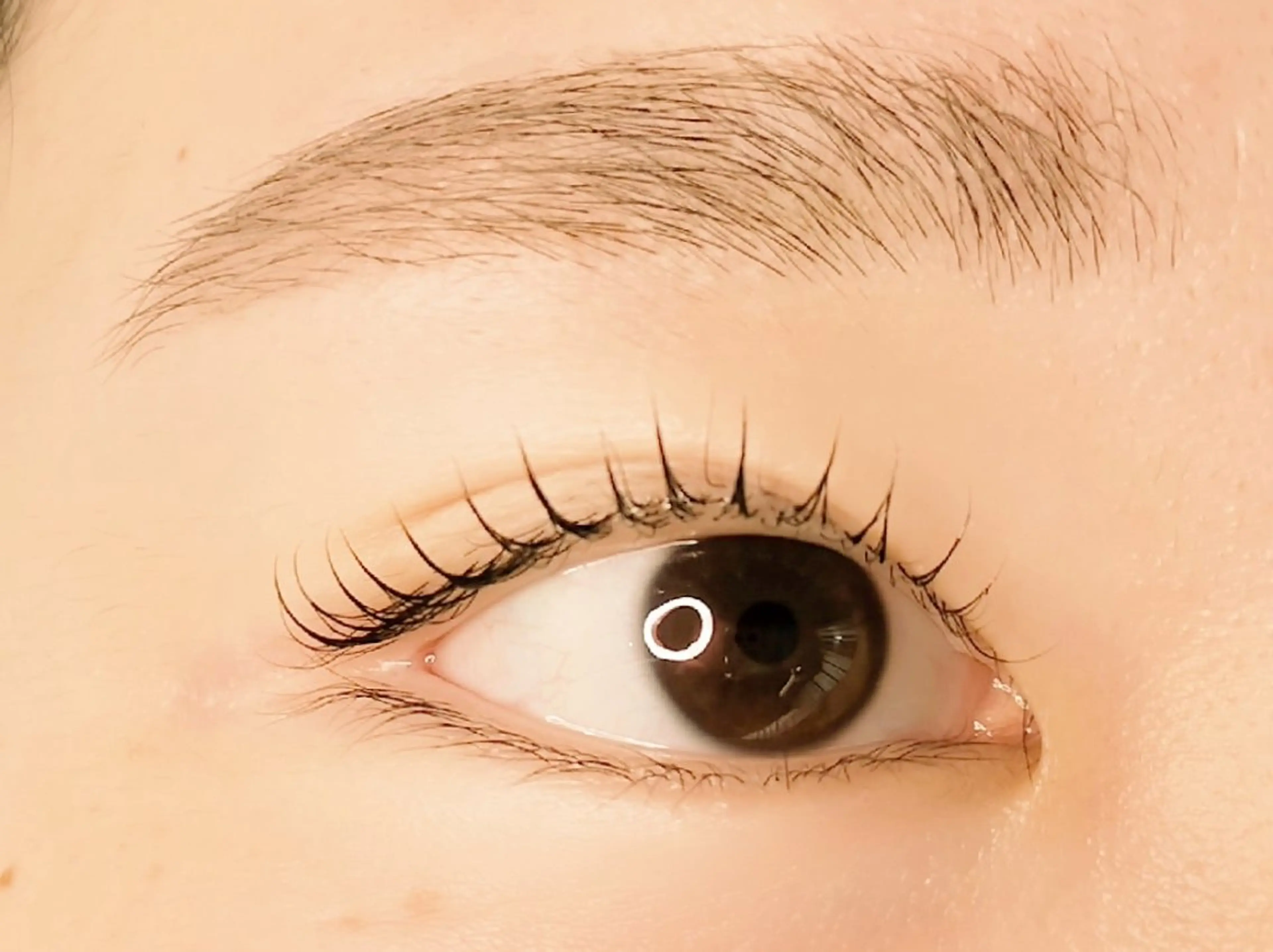 まゆ毛WAX、間引き、メイク仕上げの写真