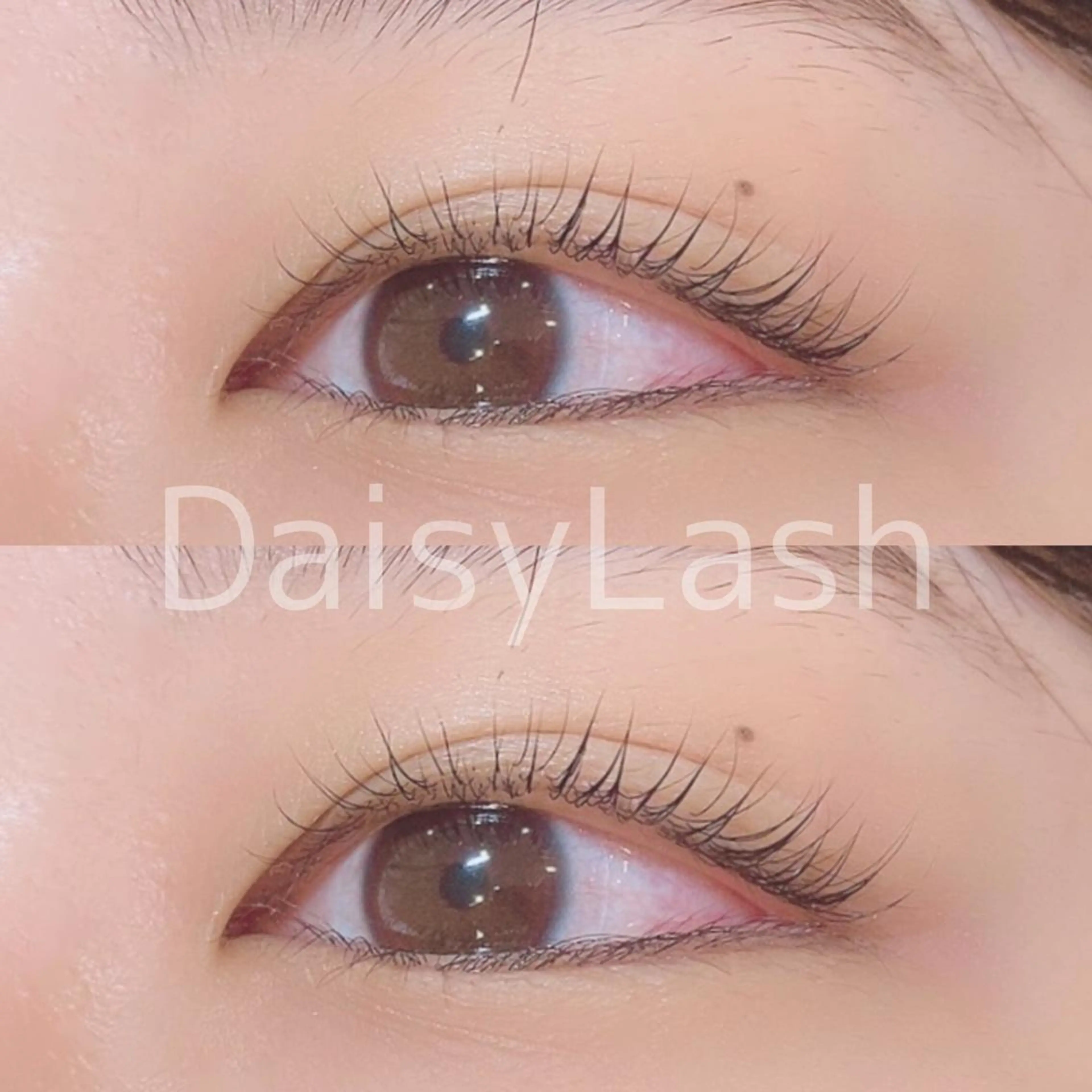 マツエク・マツパ DaisyLash 京橋店のマツエク・マツパデザイン