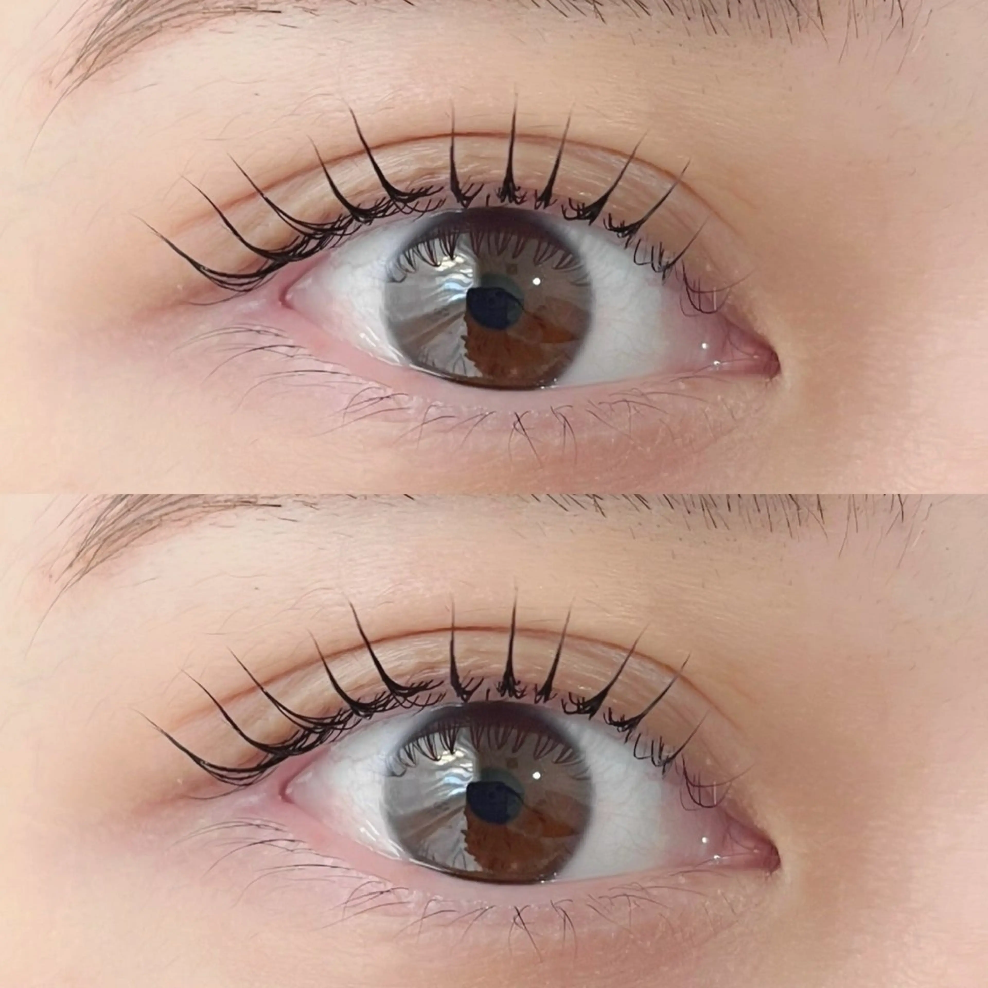 【12月限定🎄】🍒パリジェンヌラッシュリフト＋美容液🍒の写真