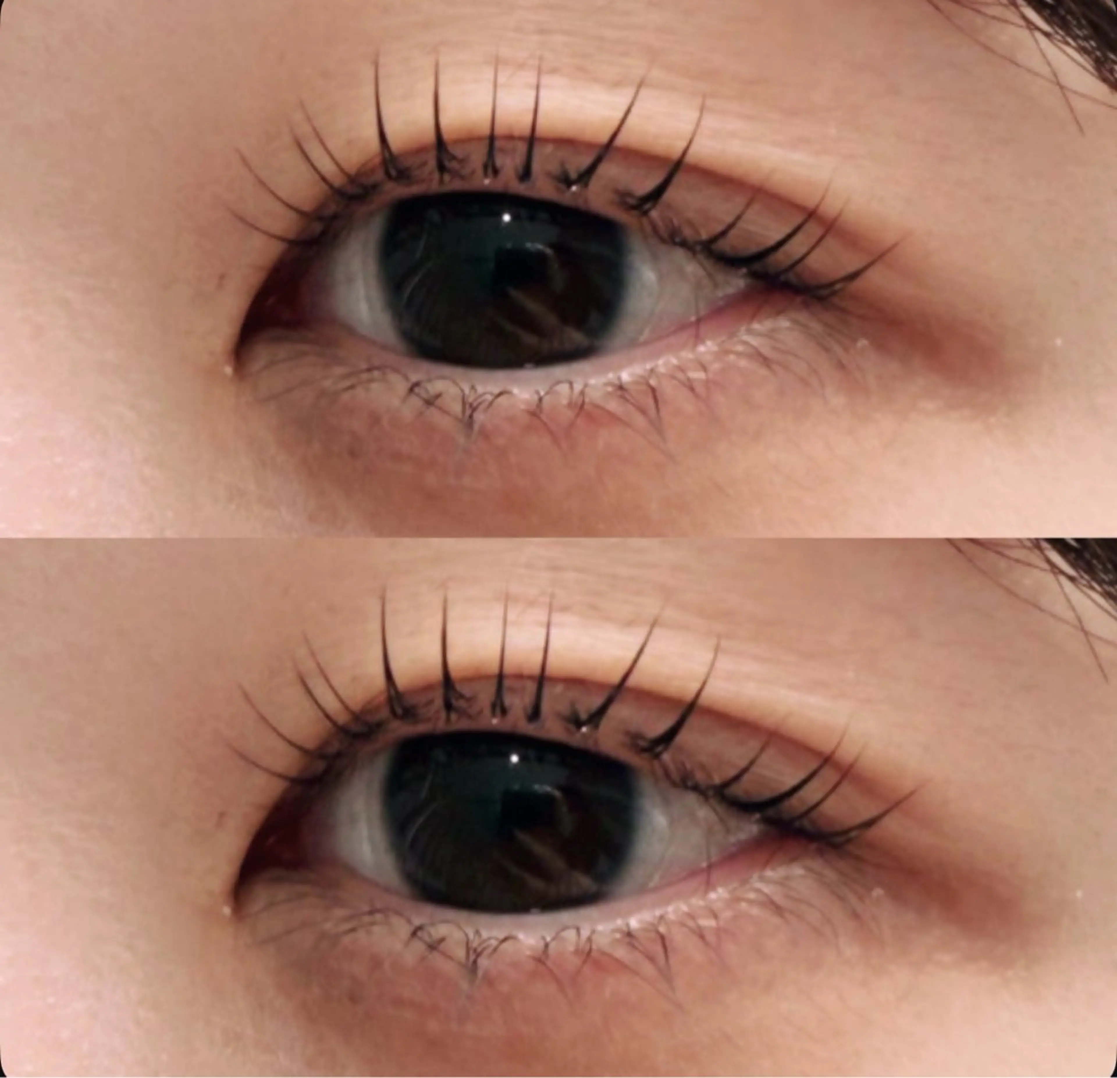 マツエク・マツパ マツパ Myro mikiの眉毛・アイブロウイメージ