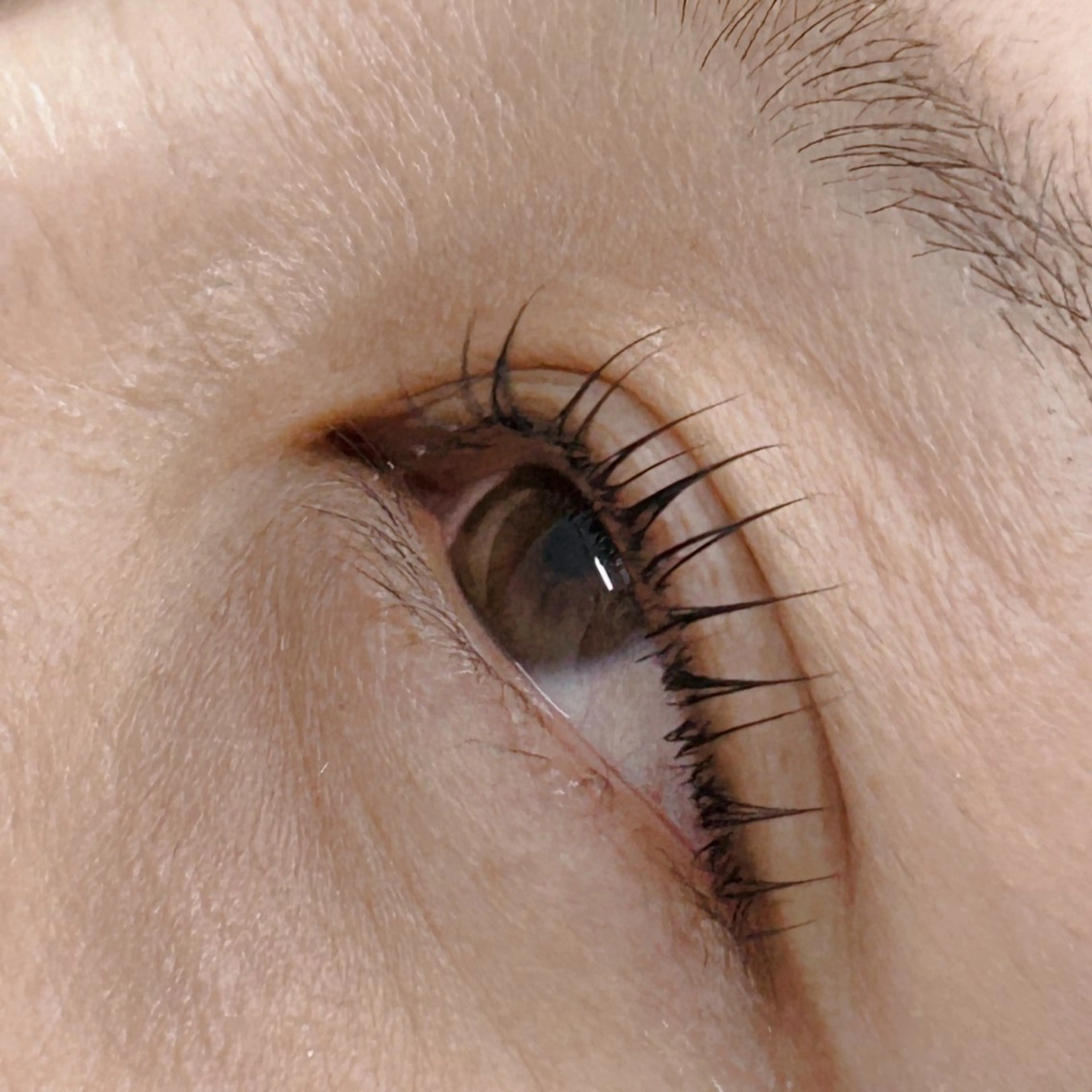 マツエク・マツパ annabelle 大野のマツエク・マツパデザイン