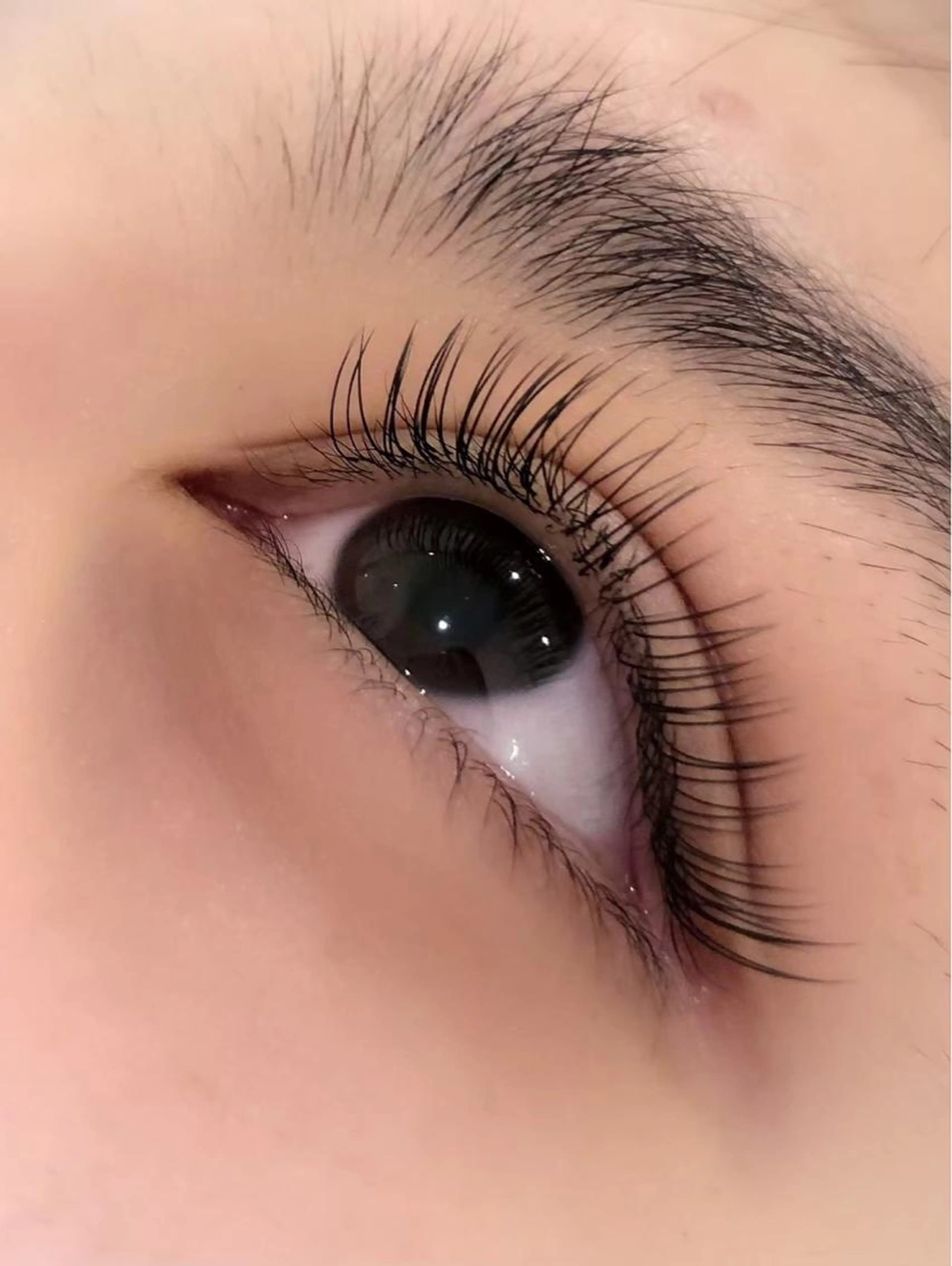 ✨ミニモ限定特別美肌仕上げモニター✨フラットラッシュ100本¥4000の写真