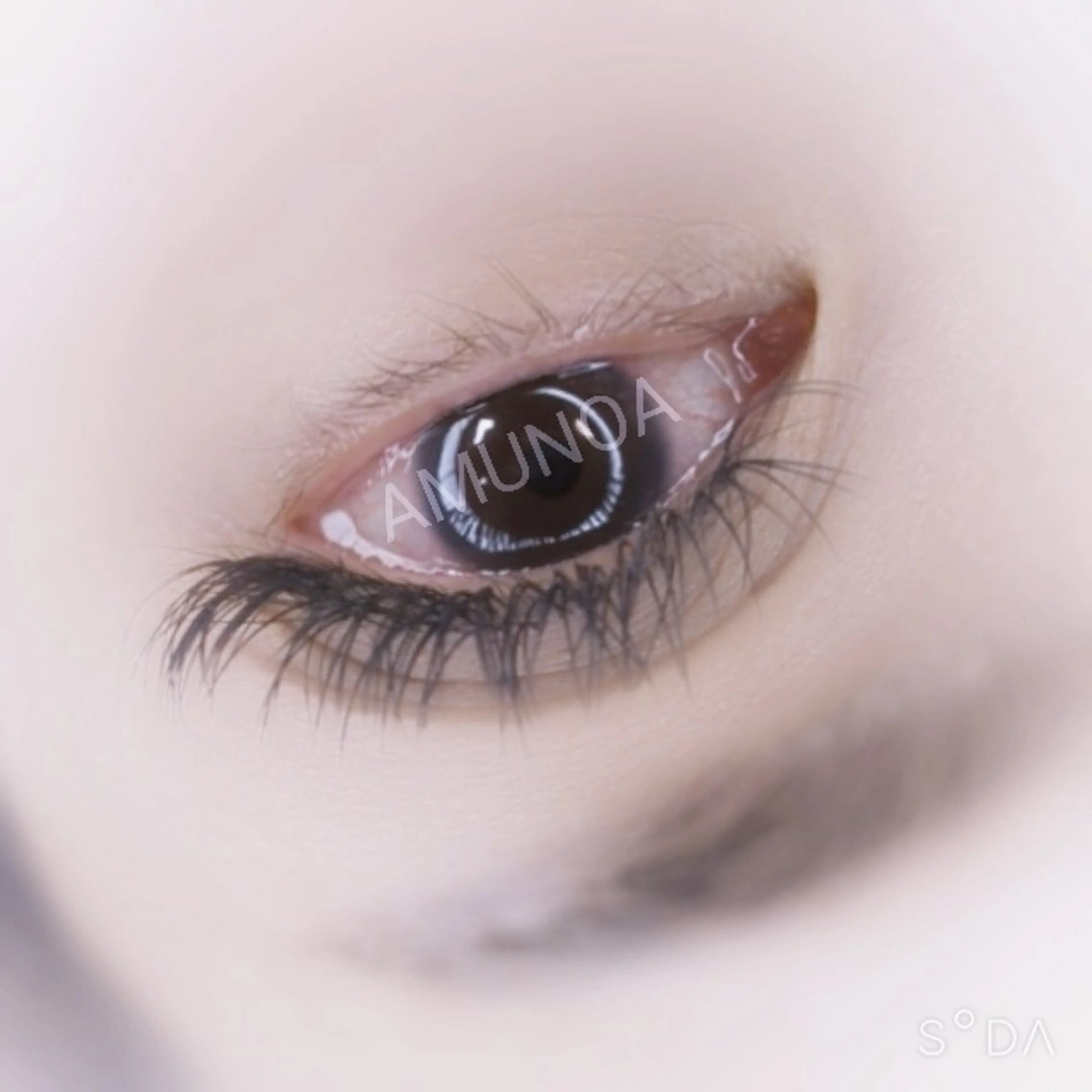 マツエク・マツパ 付け放題 マツエク 美容室アムノア所属・美容室 AMUNOAのマツエク・マツパデザイン