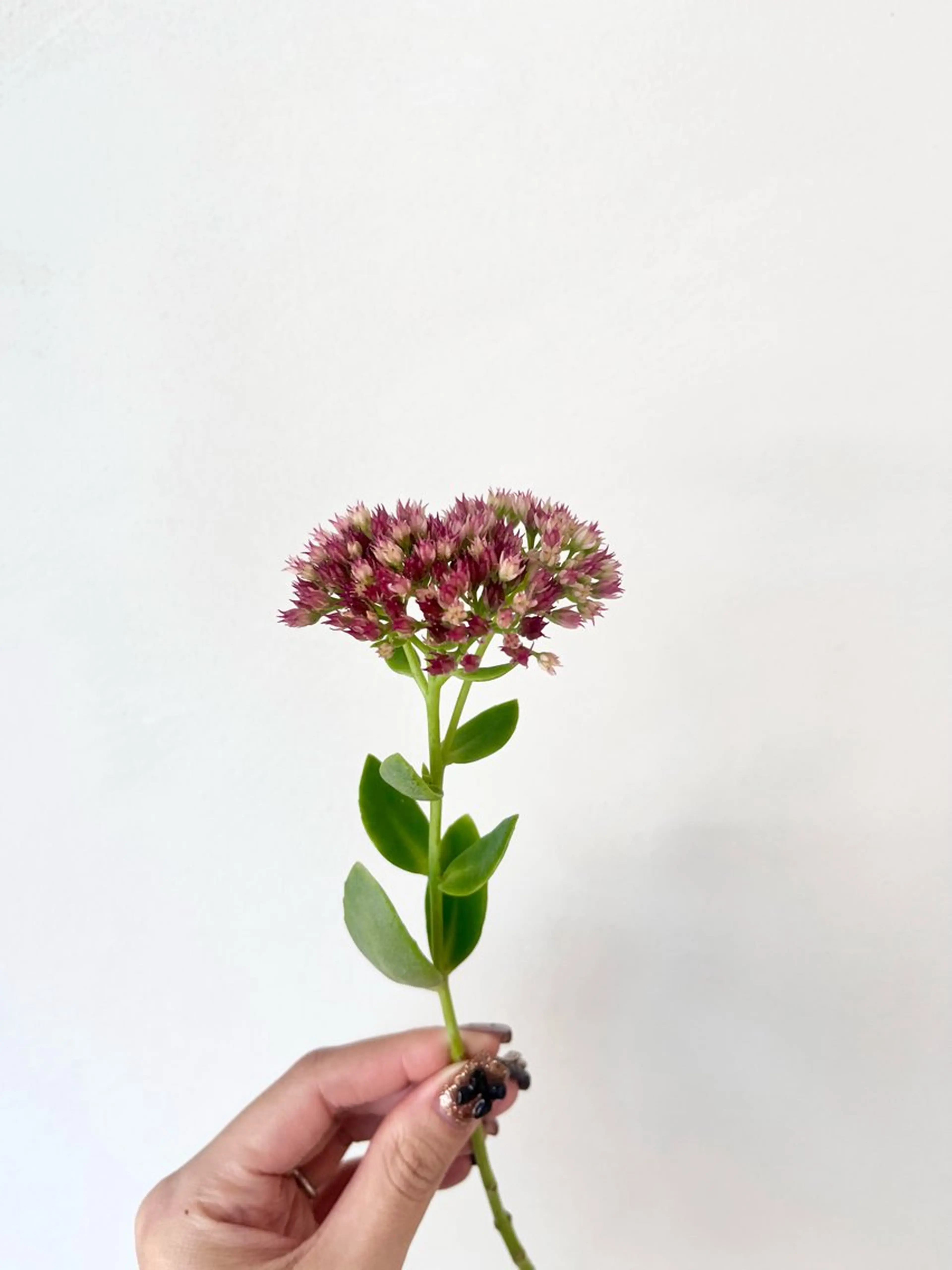 カラー 暖色カラー／ ヘアセット🌛櫻井舞のヘアスタイル