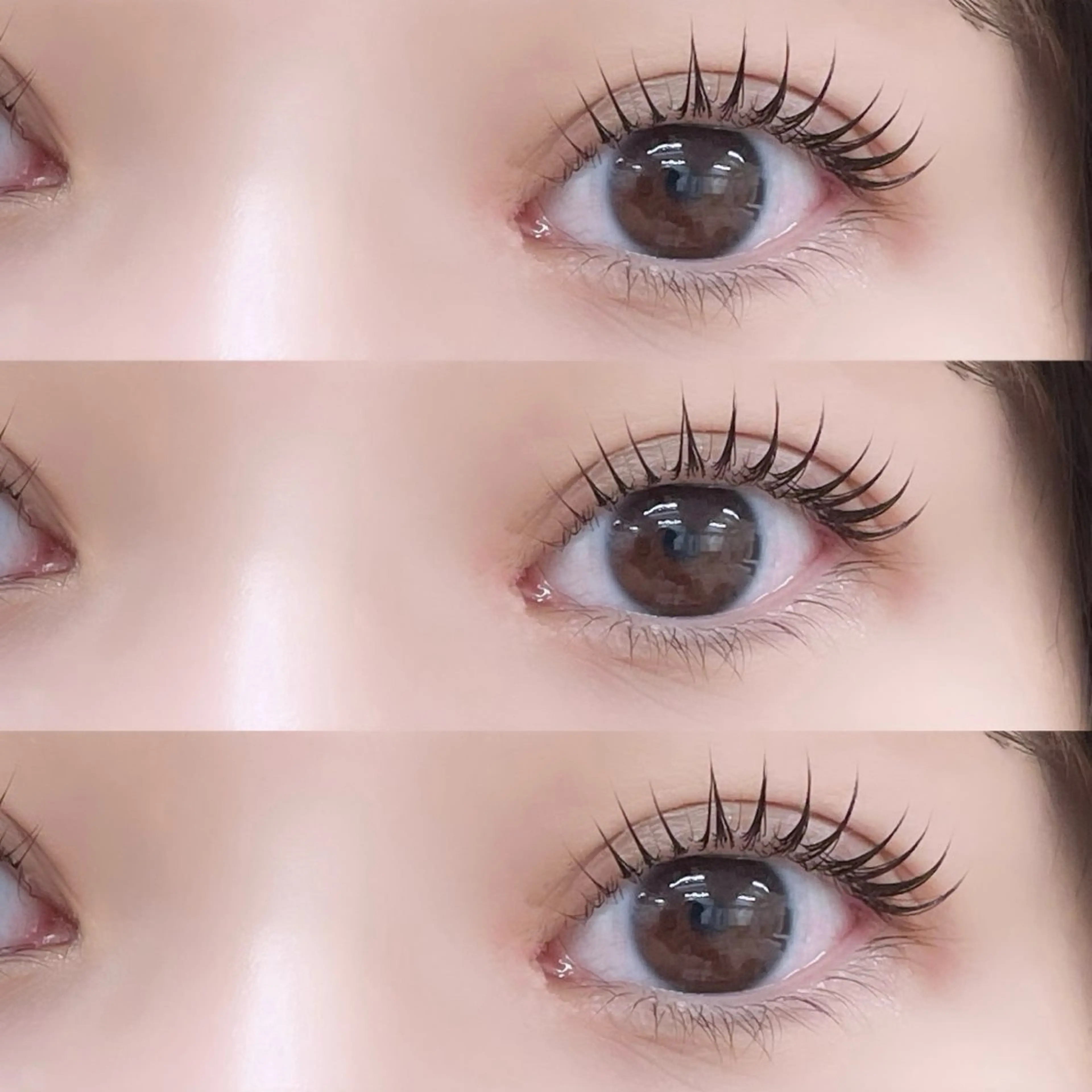 【詳細確認必須】研修モデル・ラッシュリフト【リクエスト不可】でお取りくださいの写真