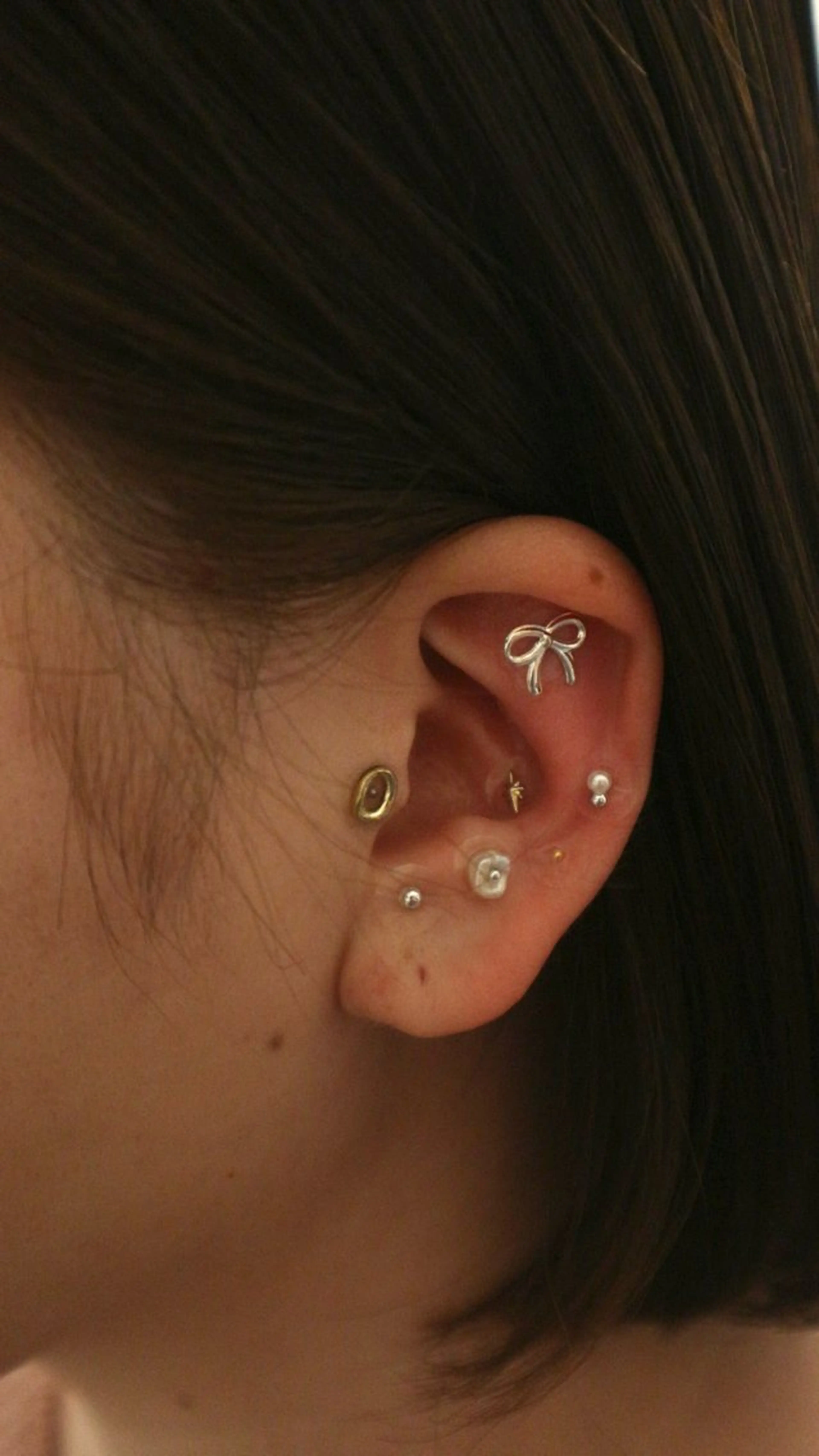 B.napus/mimi2bo所属・B.napus Nanohaのその他イメージ