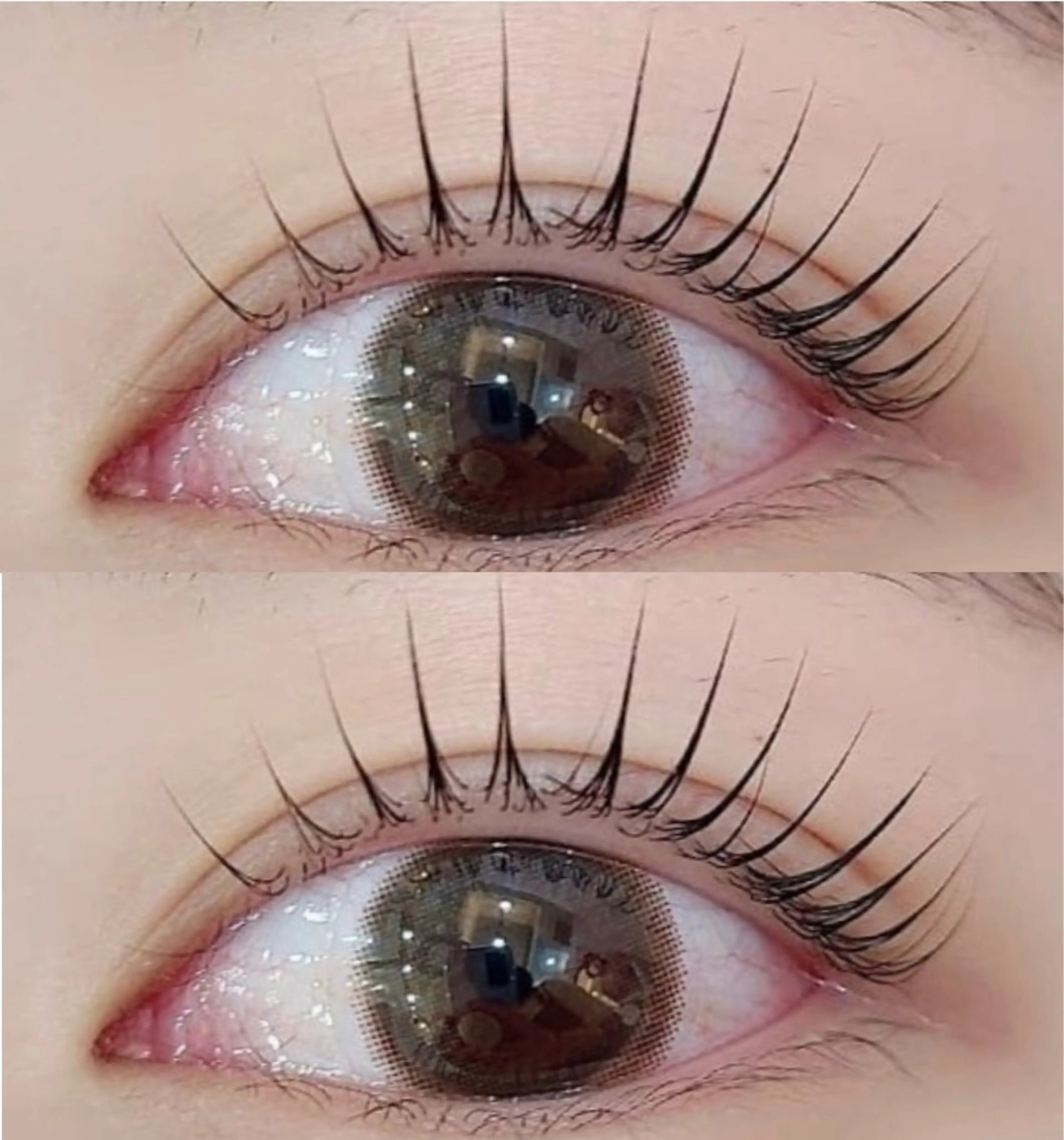 【12月末まで限定価格🩵✨】パリジェンヌ🎀の写真