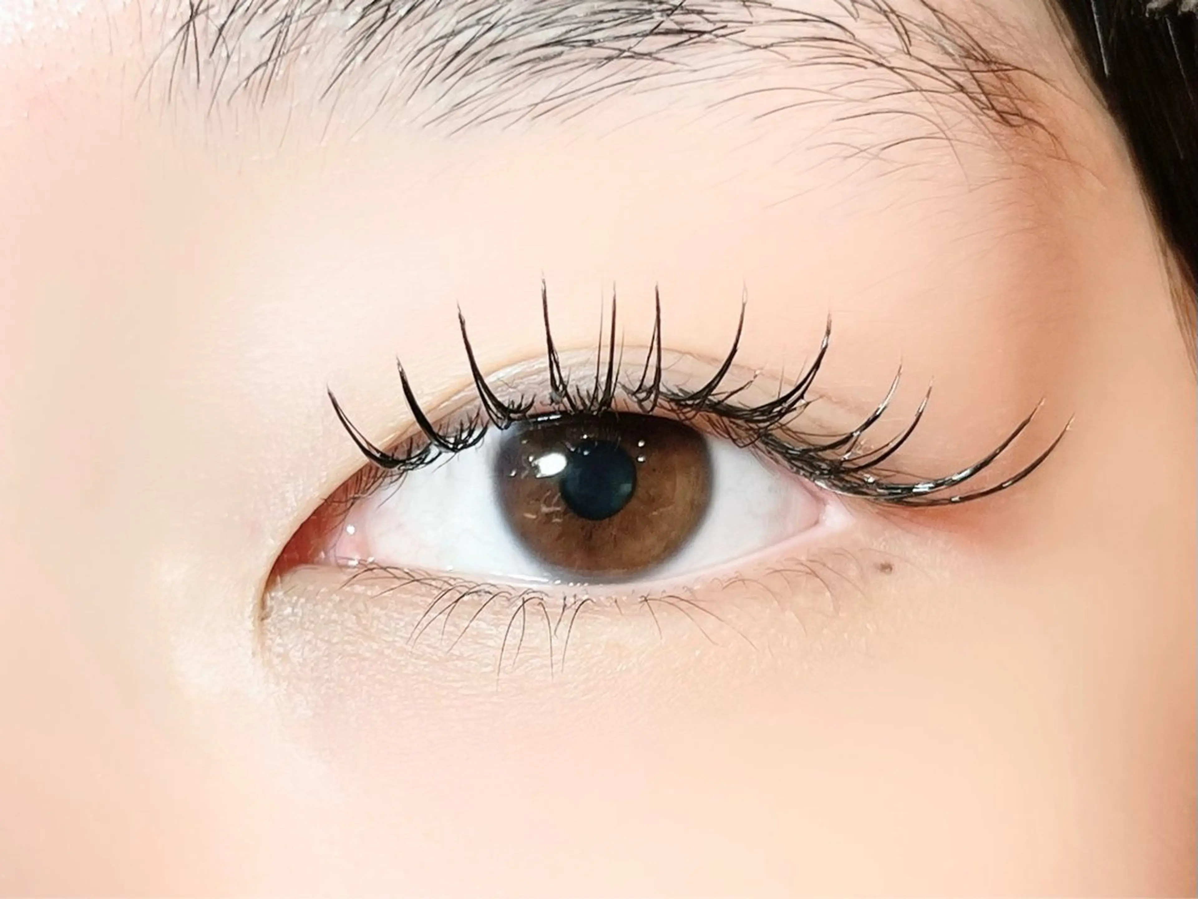 マツエク・マツパ Cカール フラットラッシュ sola: neolive熊田のマツエク・マツパデザイン