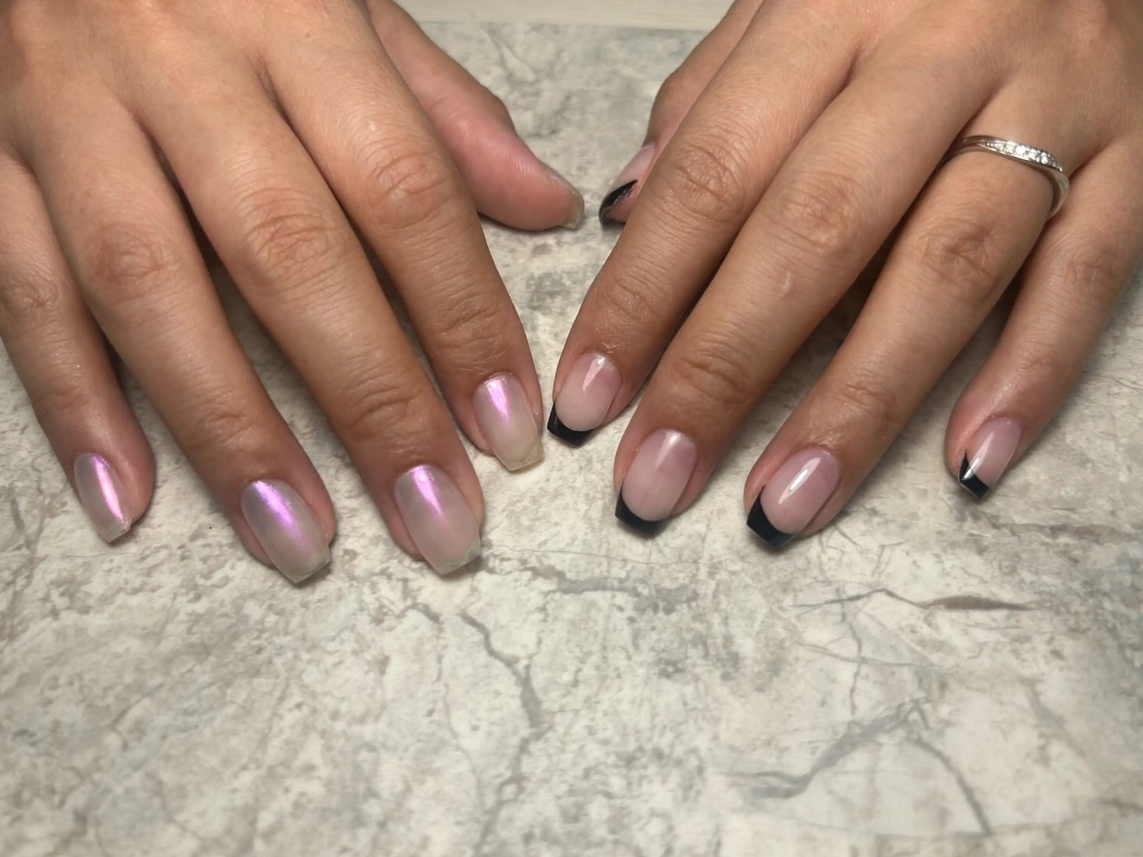 【オフなし】フレンチ(white、black、brown)の写真