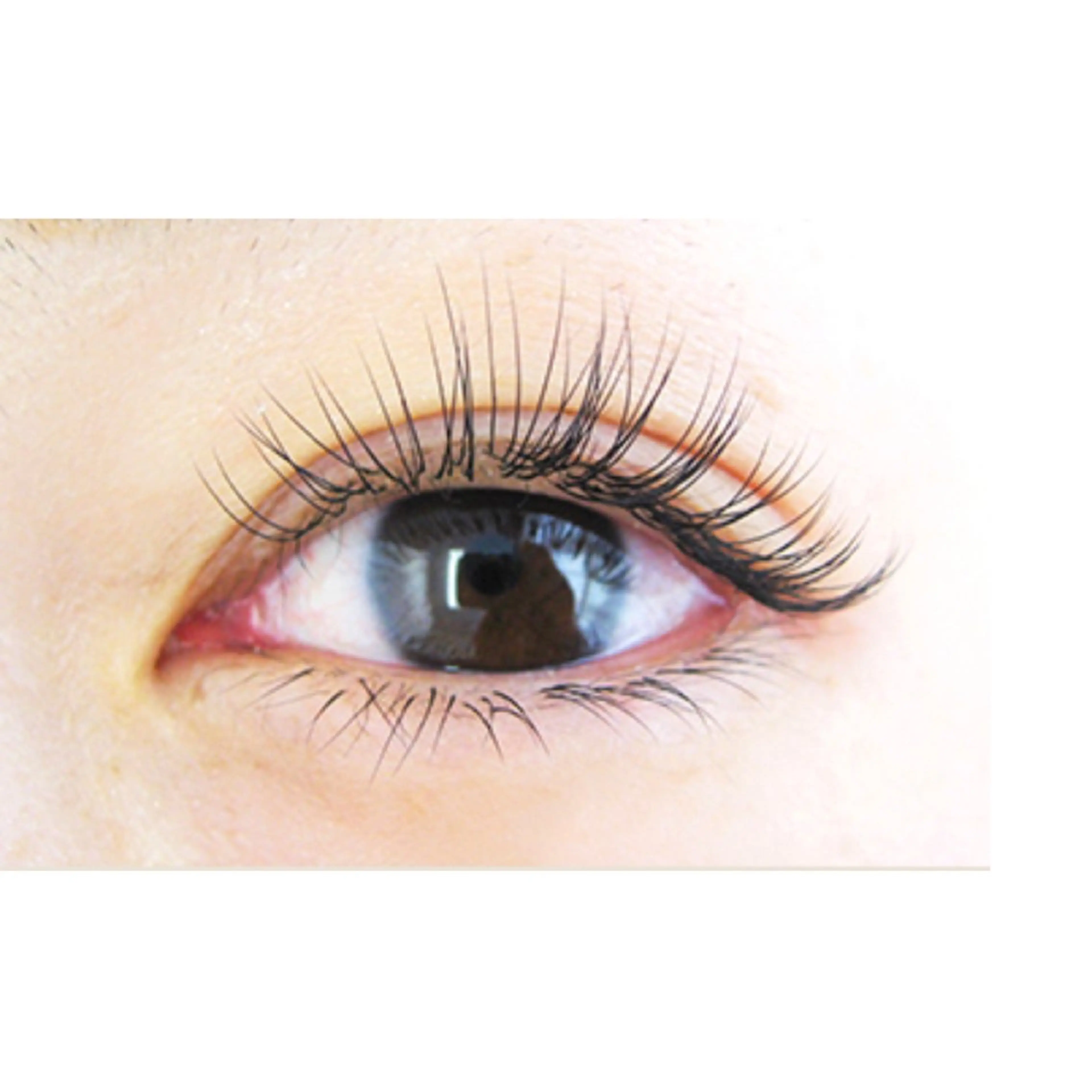 【新規/マツエクシングル上100本＋下30本まで】中顔面短縮ならこれ！２倍デカ目に見せたい方にも♪の写真