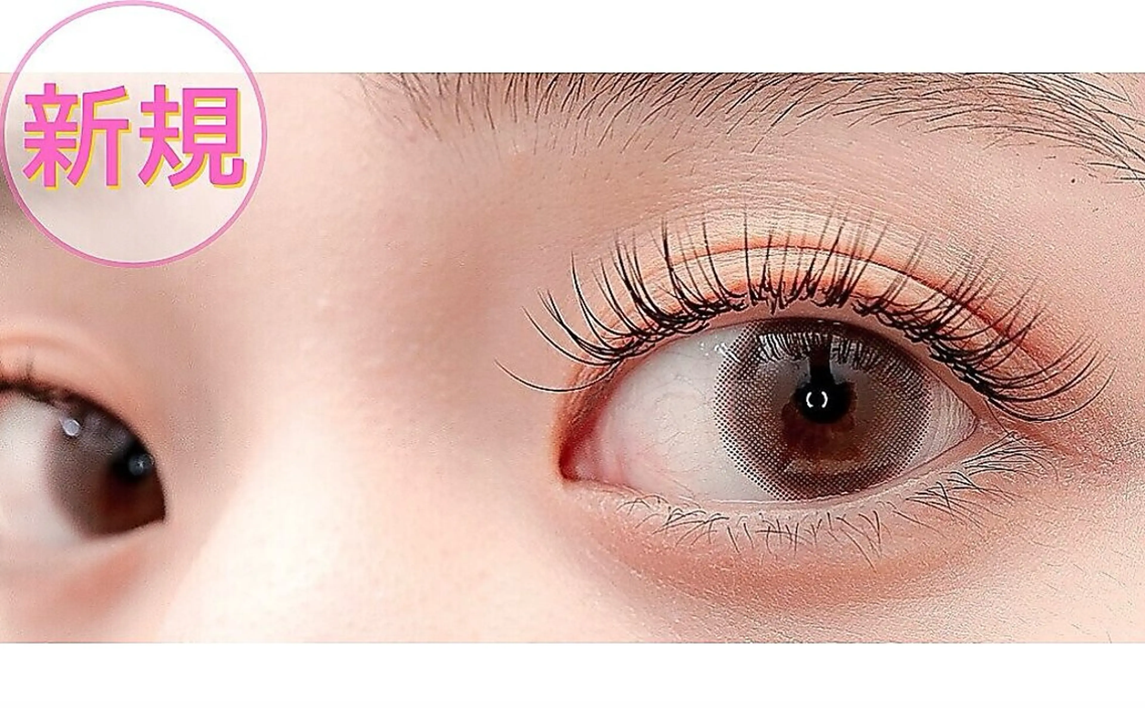 フラットラッシュ140本の写真