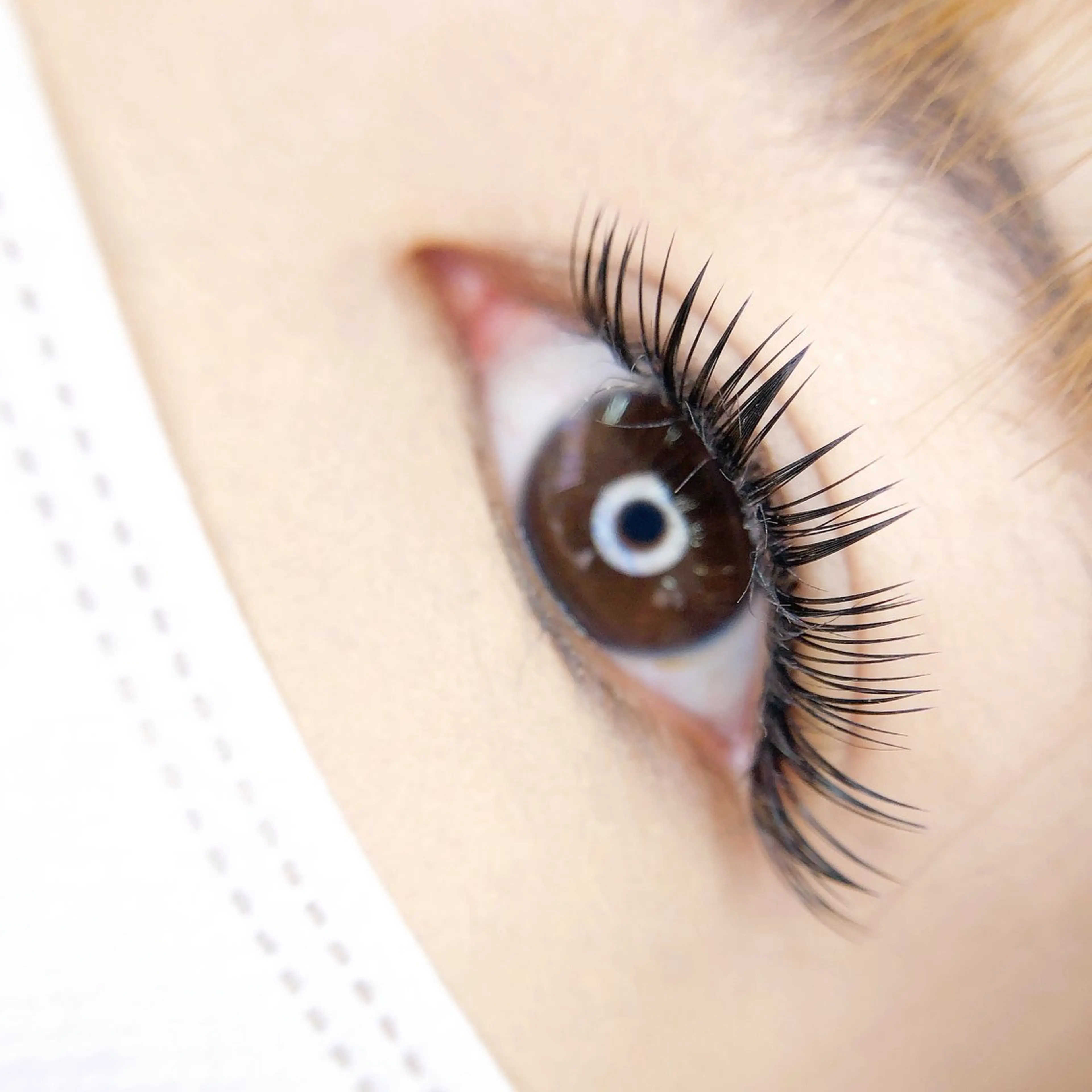 マツエク・マツパ マツエク MIGNON 冨田　当日予約のみのマツエク・マツパデザイン